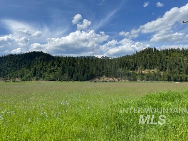 12412 St Joe River Rd