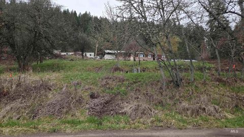 Photo of TBD Pine St Blk 43, Lot 2, Peck, ID 83545 (MLS # 98909670)