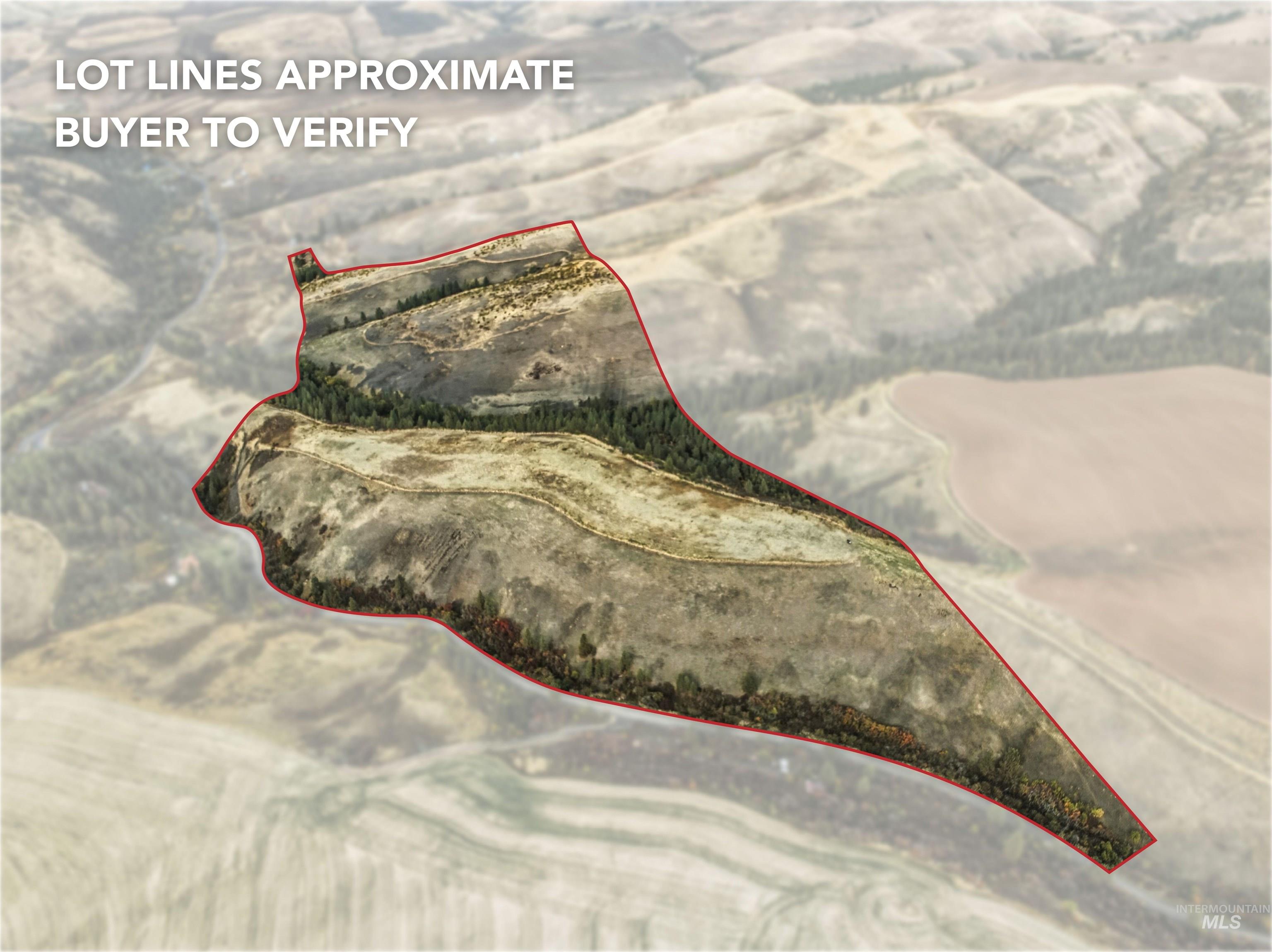 TBD Kettenbach Grade
