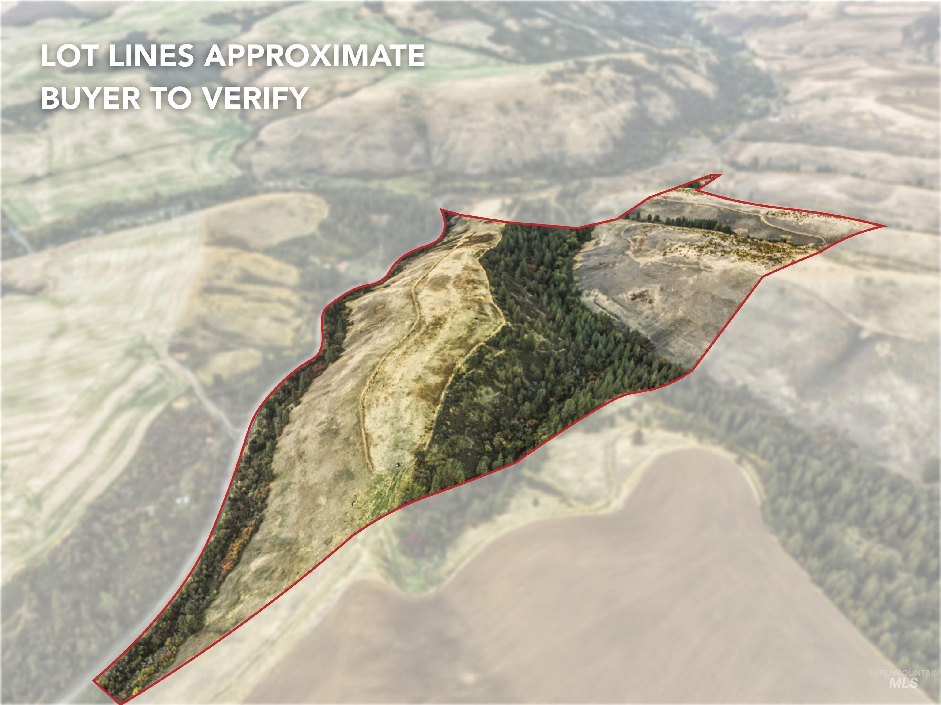 TBD Kettenbach Grade