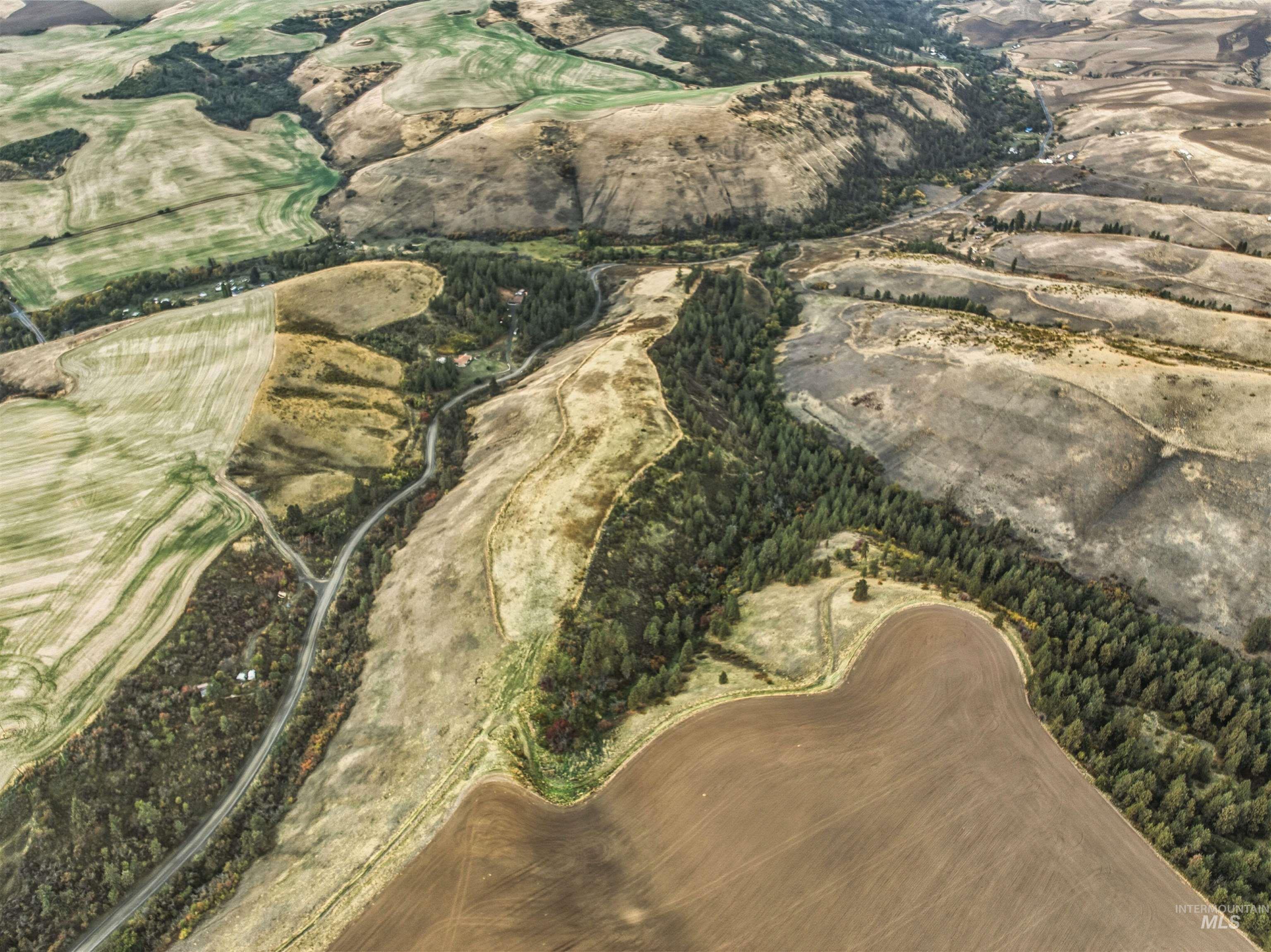TBD Kettenbach Grade