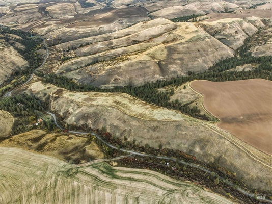 ADDRESS PRIVATE, HEADQUARTERS, ID 83534 - Image 22b288646fa302e5a59f68a72fa38b73/92295974