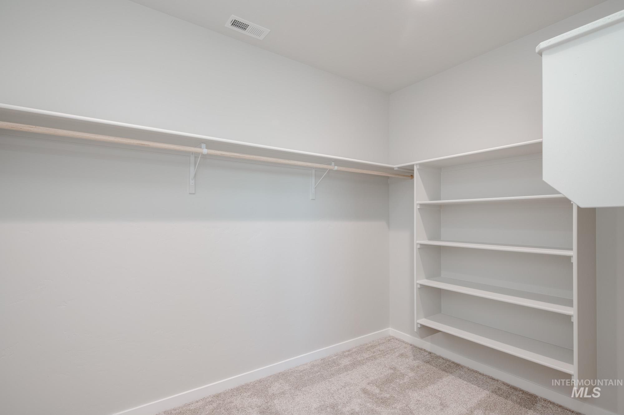 Walk in closet with light colored carpet