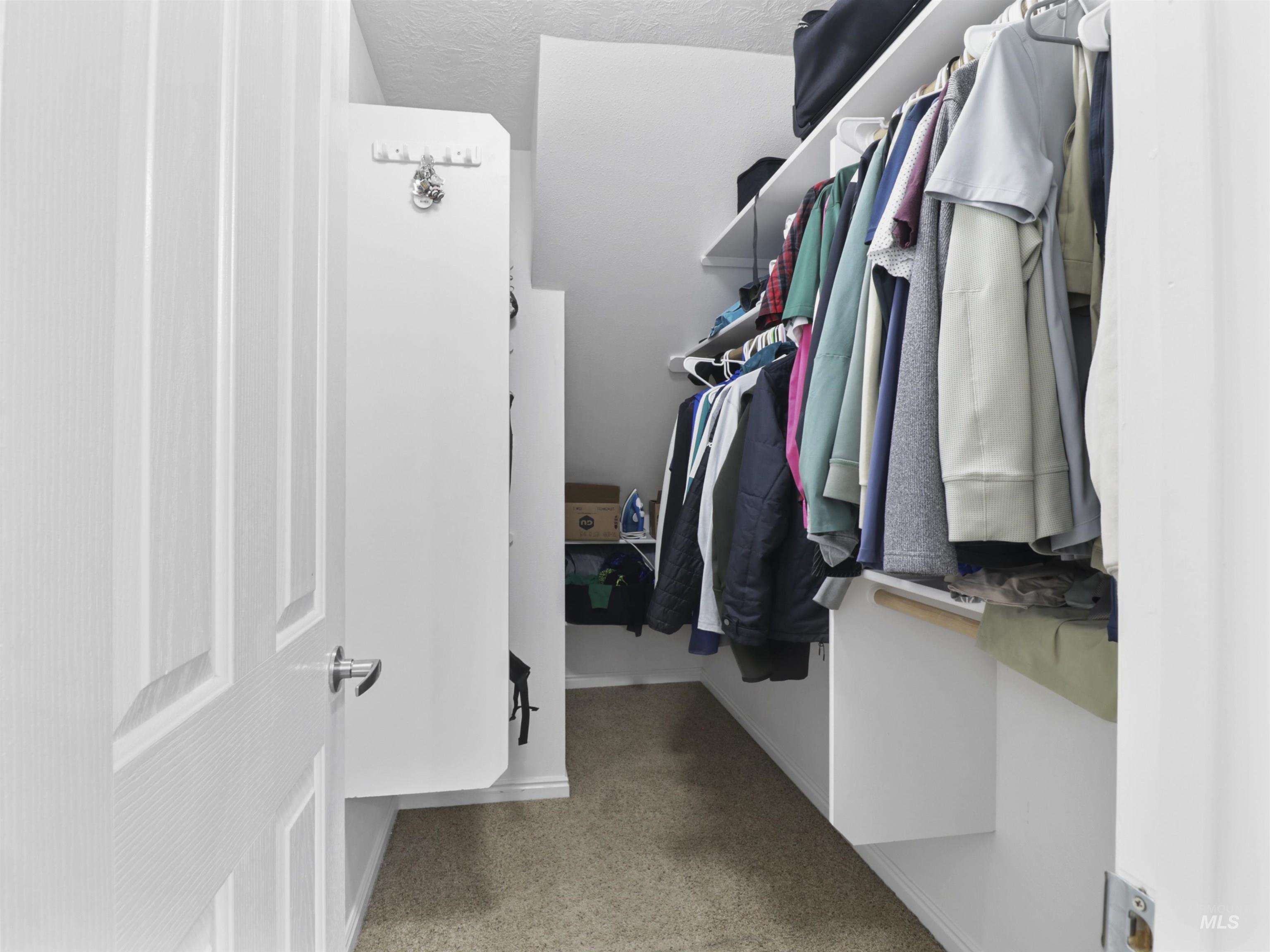 Spacious closet with light carpet