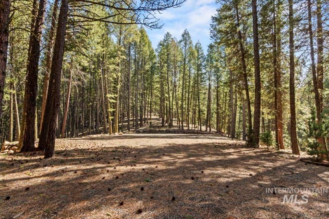 Photo of 150 Mountain Air Drive, Cascade, ID 83611 (MLS # 98980053)