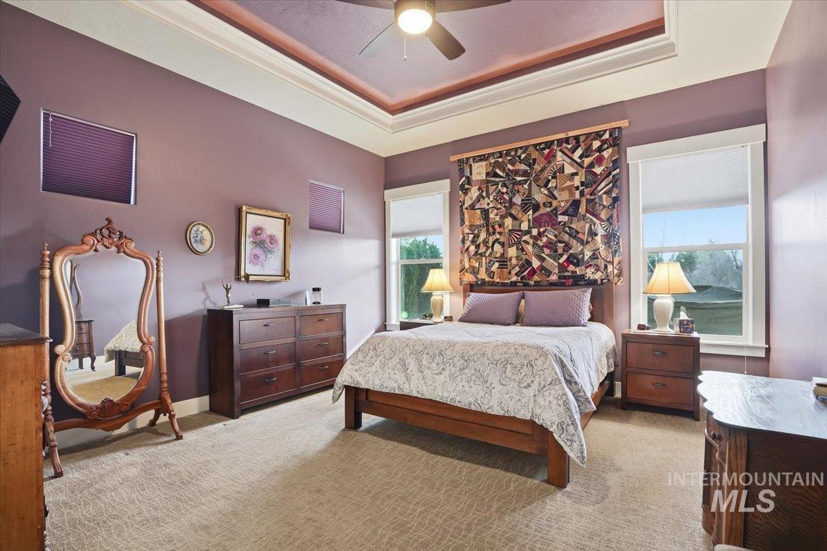 Carpeted bedroom with crown molding, a raised ceiling, and a ceiling fan
