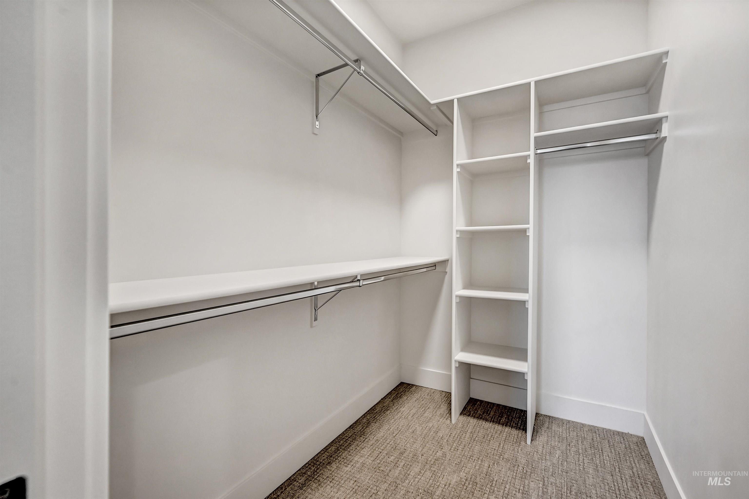 Spacious closet featuring light carpet