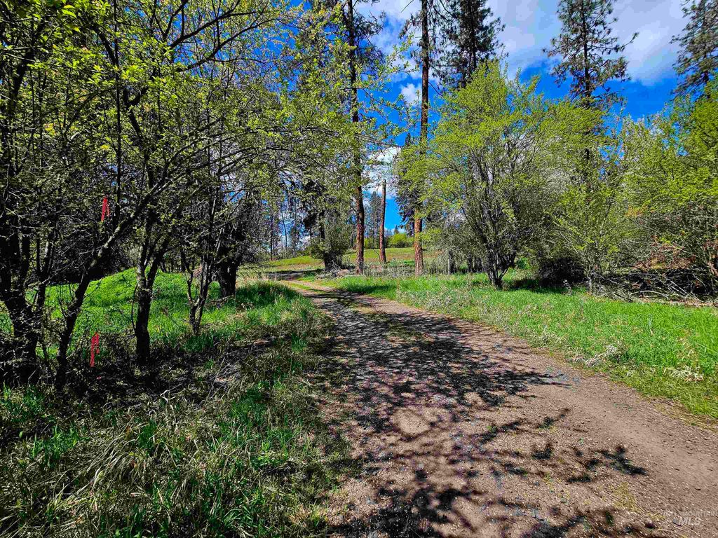 Photo of 115 Weedmark Way, Kamiah, ID 83536 (MLS # 98981420)