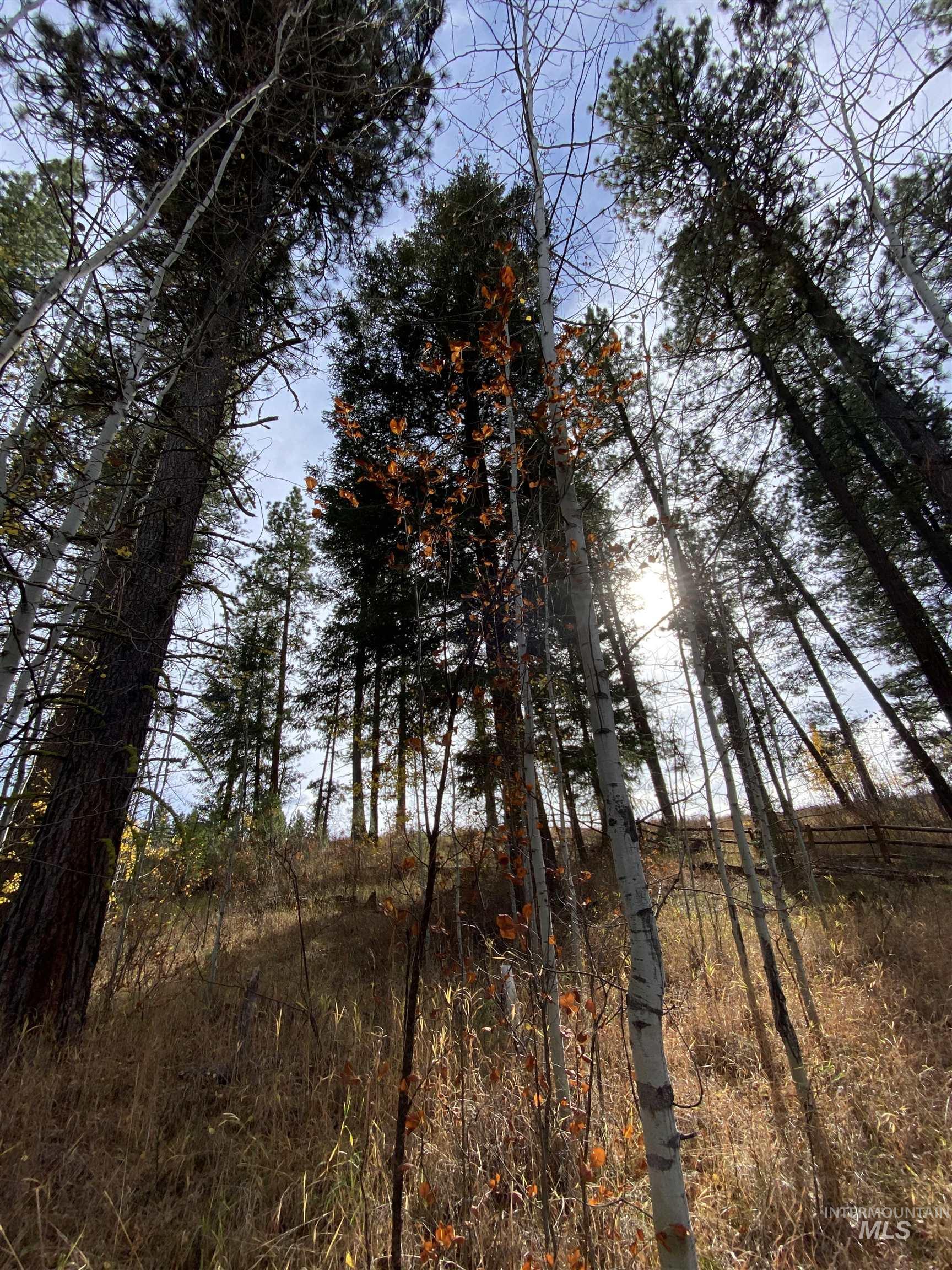 269 Barker Ln, Donnelly, Idaho image 8