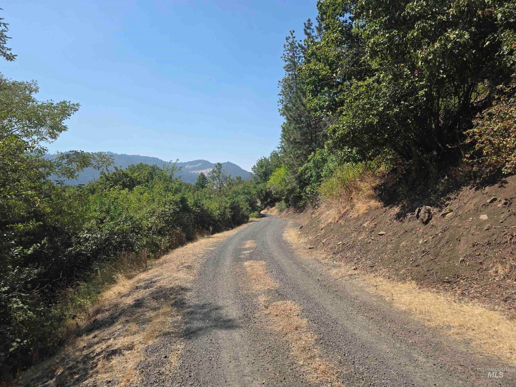 Photo of 1780 Forsman Avenue, Orofino, ID 83544 (MLS # 98983449)