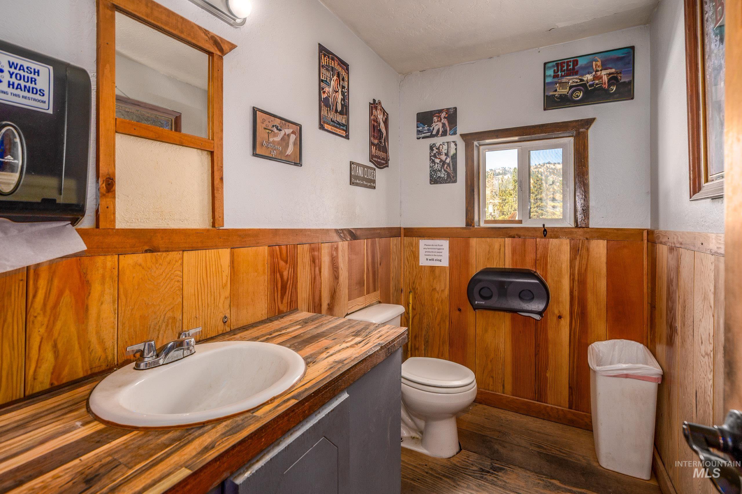 Bathroom featuring dark wood-style floors, vanity, a wainscoted wall, and wooden walls