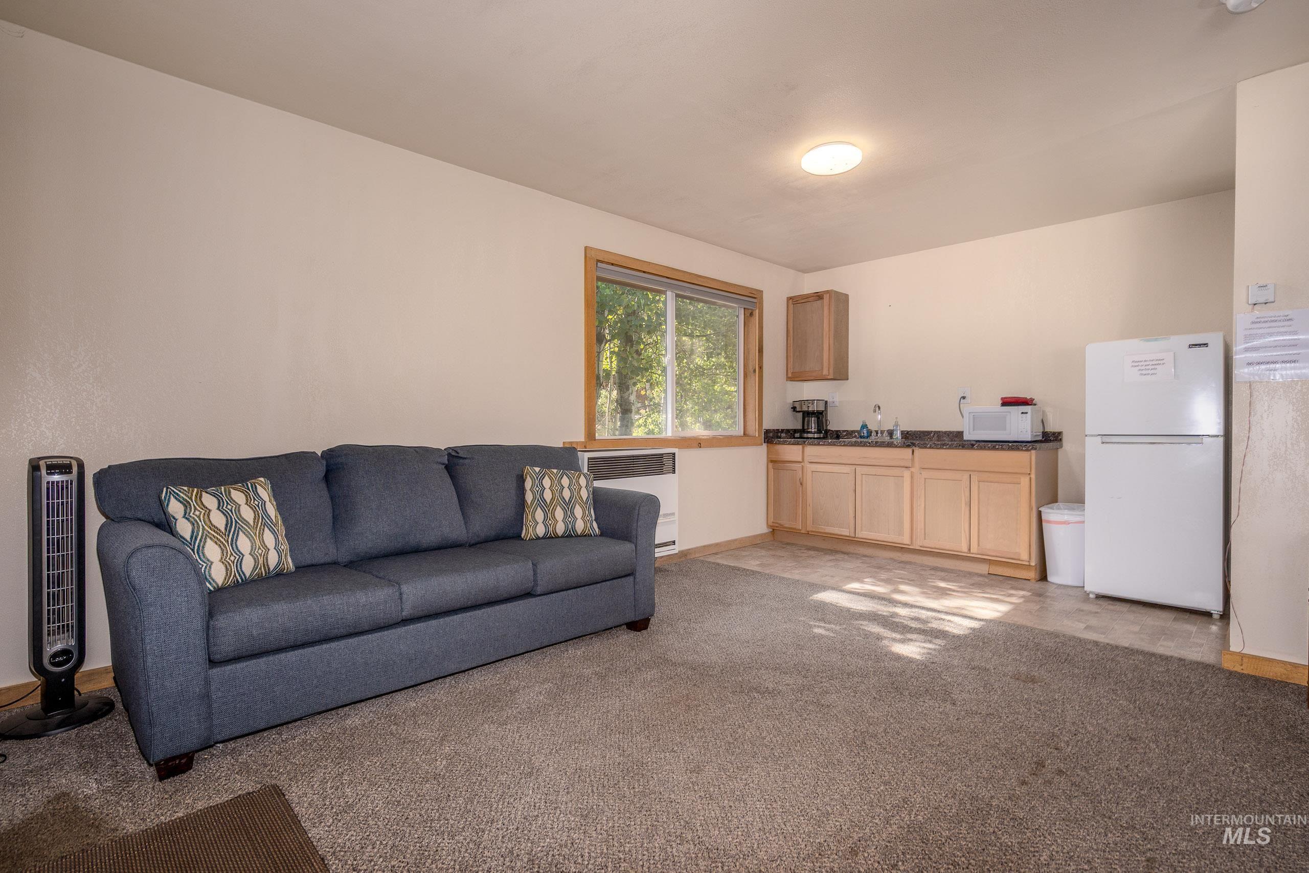 Living area featuring light carpet and radiator heating unit