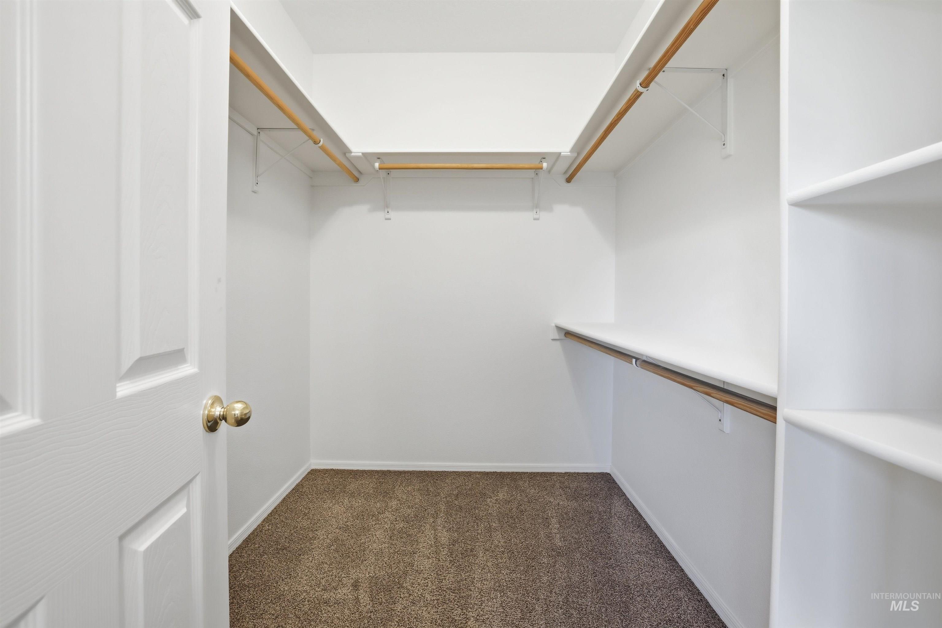 Walk in closet with dark colored carpet