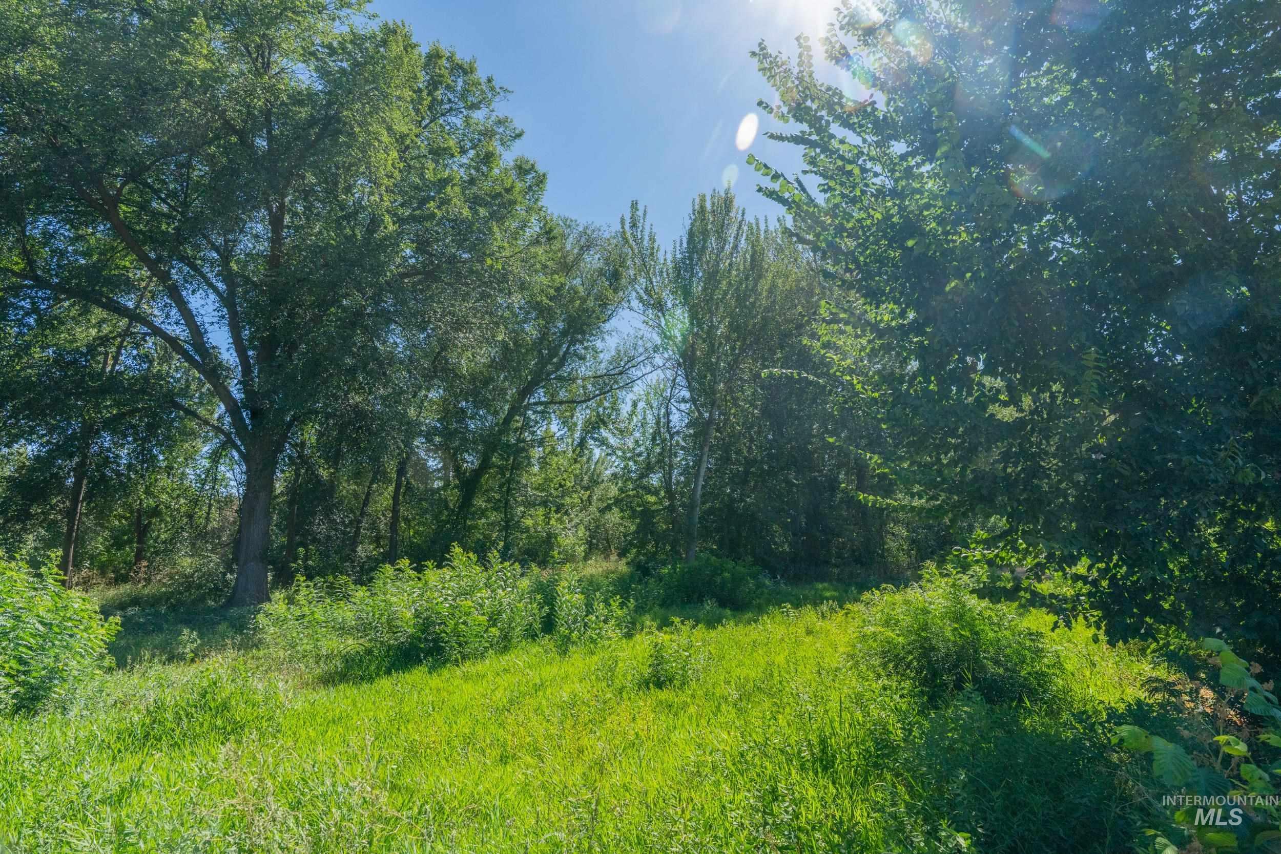 View of undeveloped land