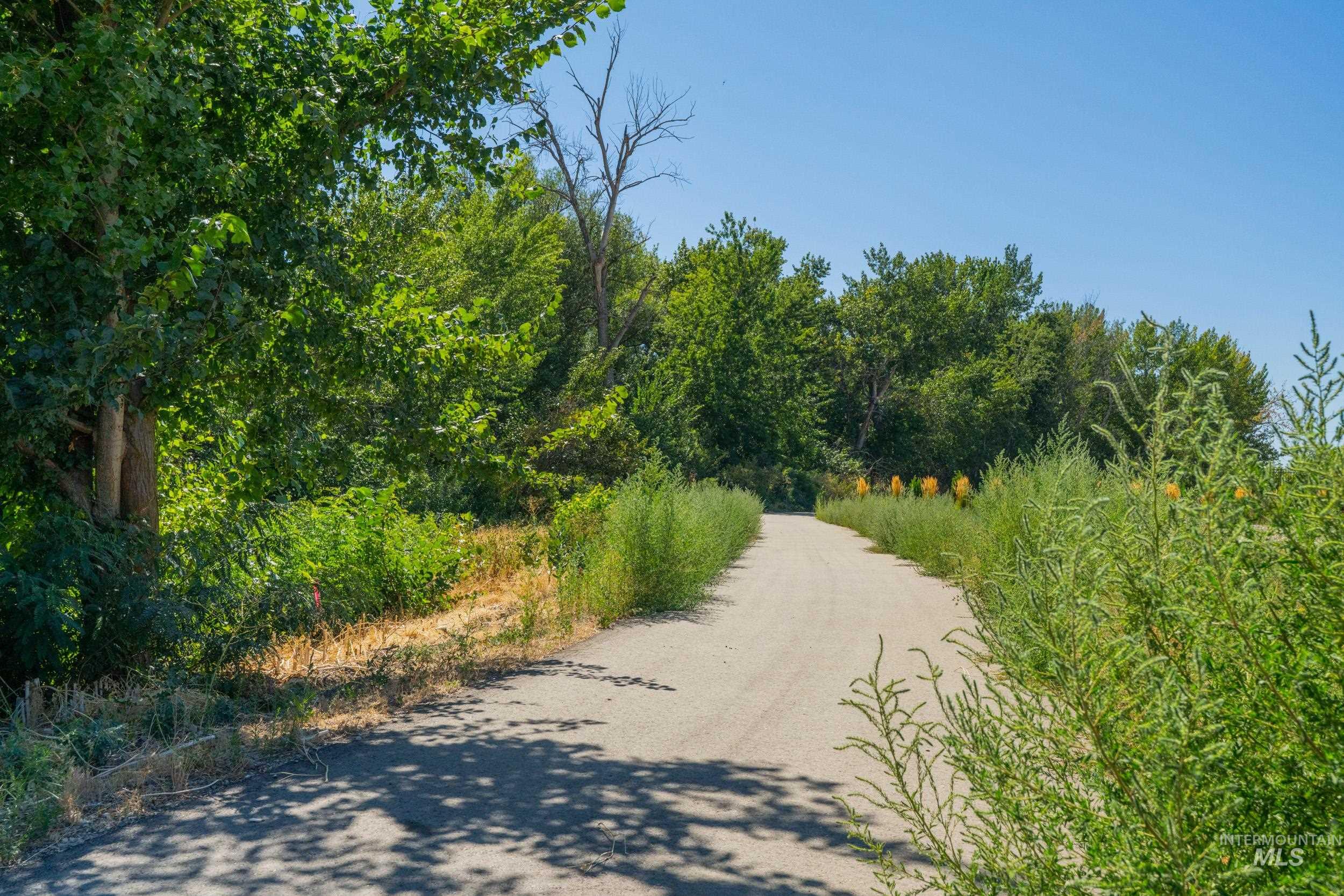 View of street featuring a wooded view