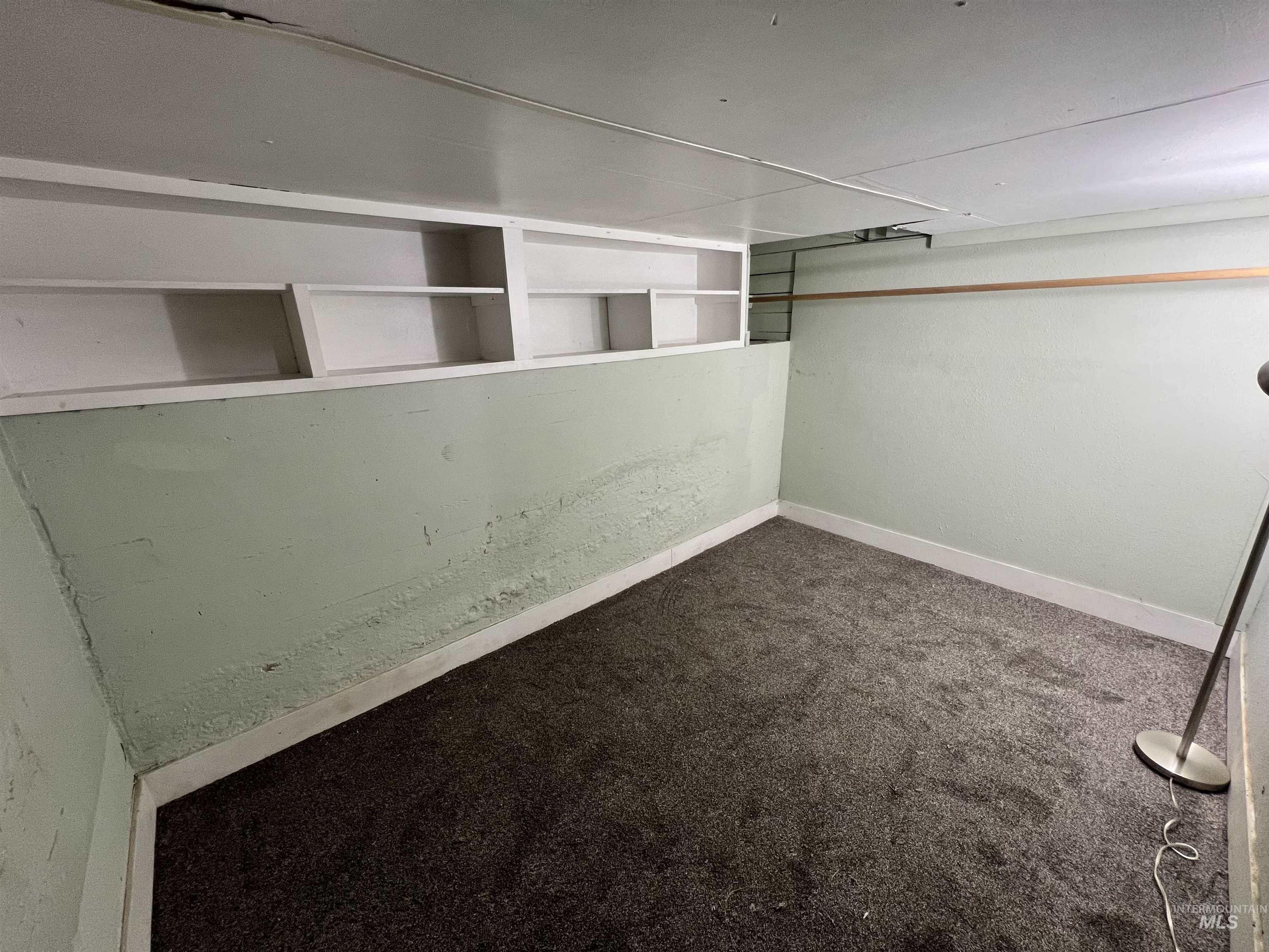 Walk in closet featuring dark carpet