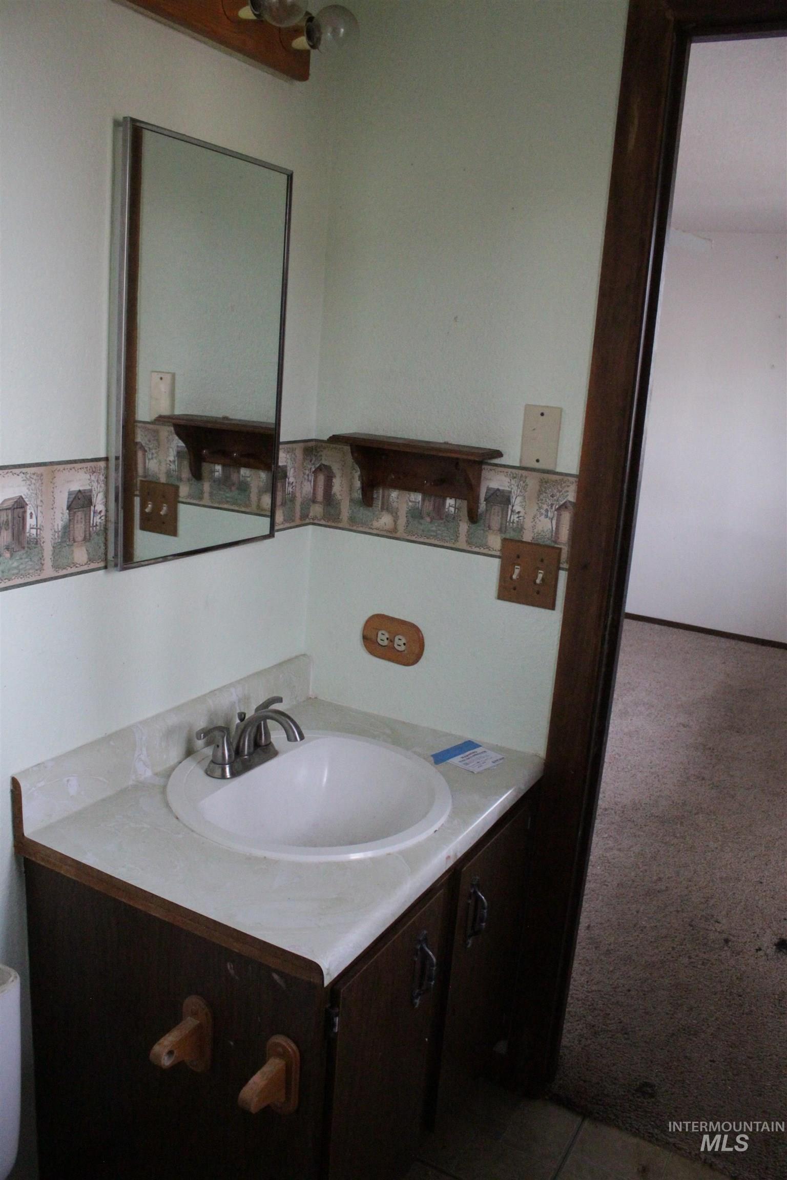 Bathroom with vanity and carpet