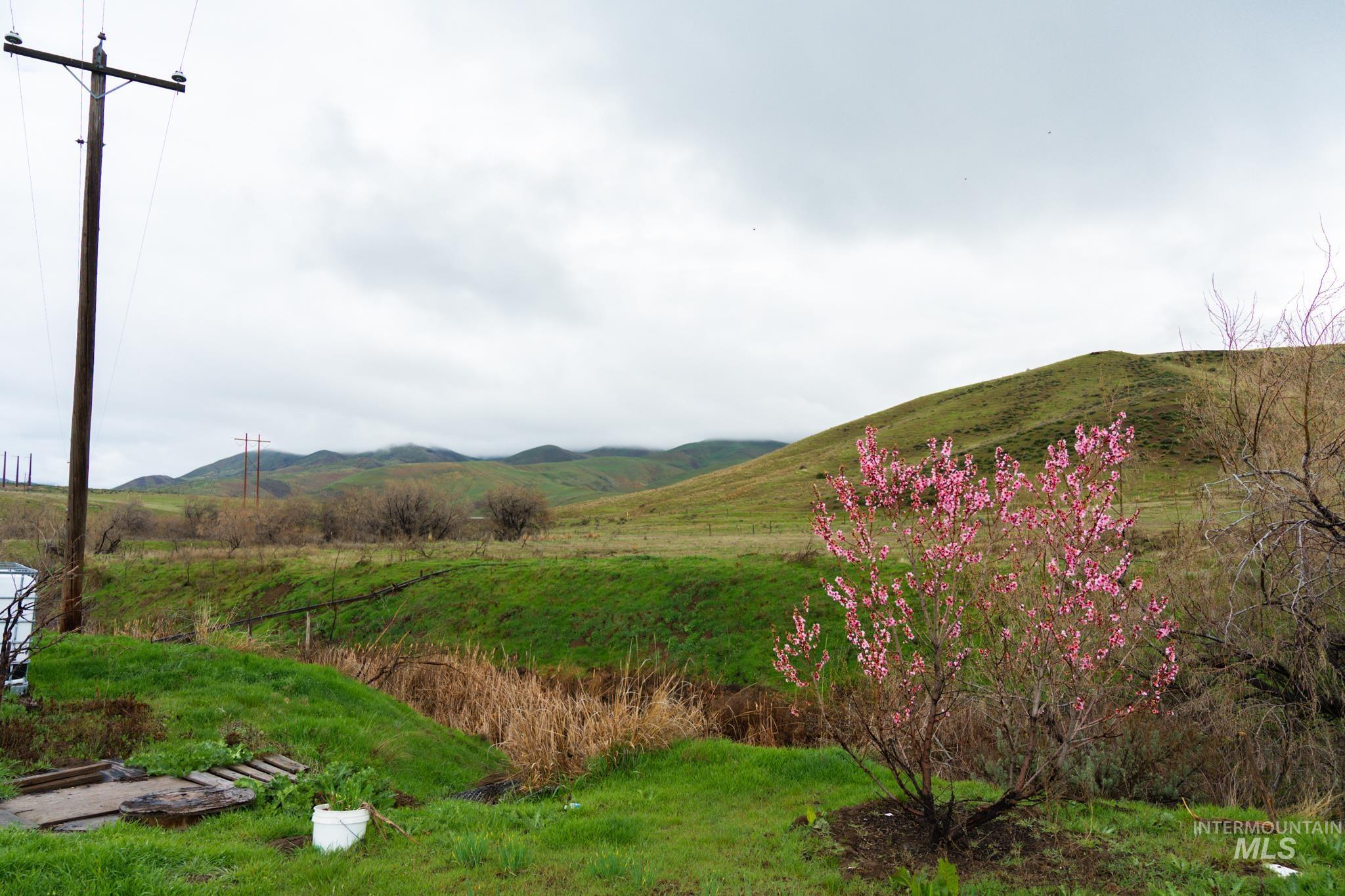 Tax Lot 15854 Lockett Rd.