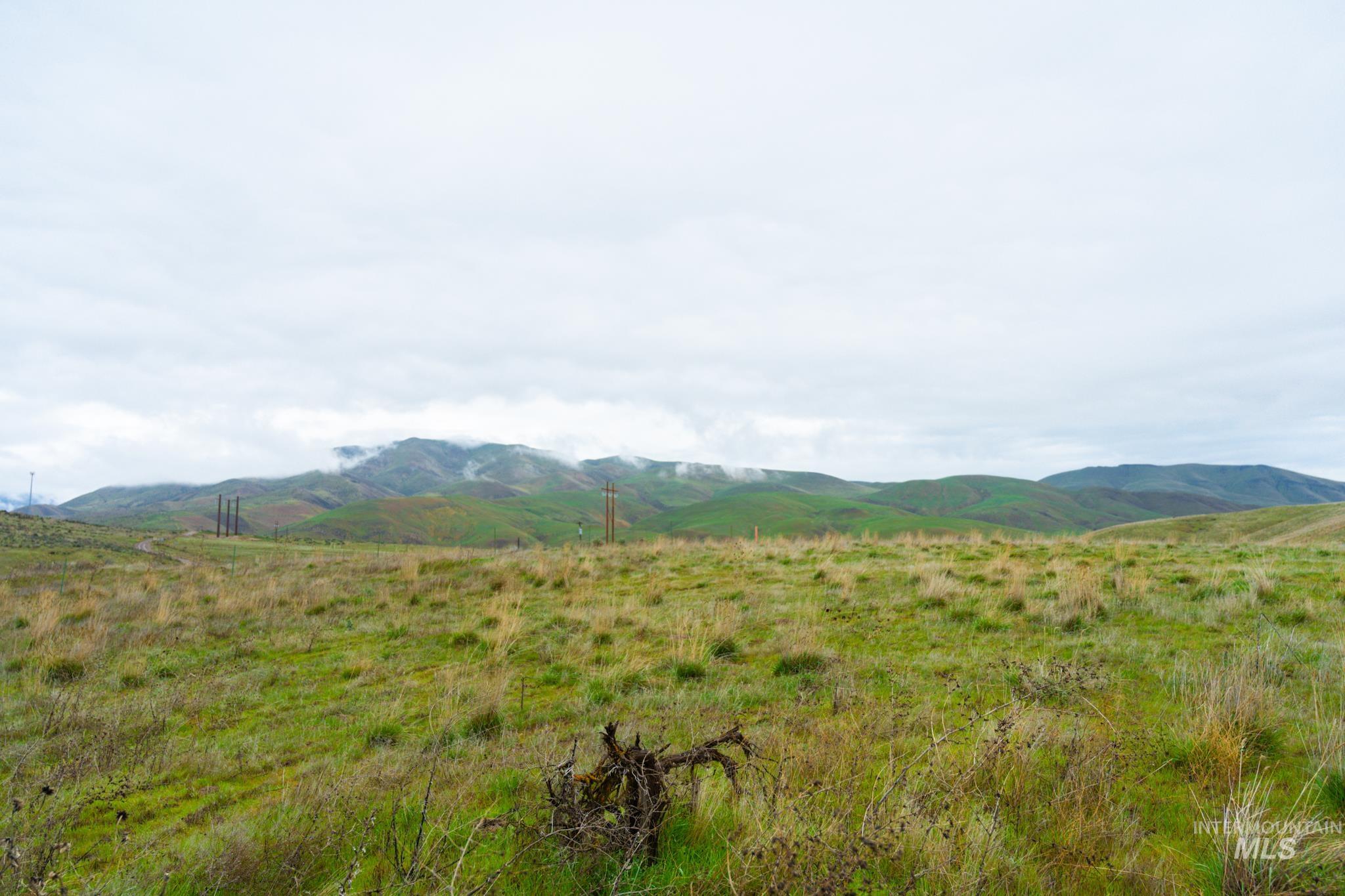 Tax Lot 15854 Lockett Rd.