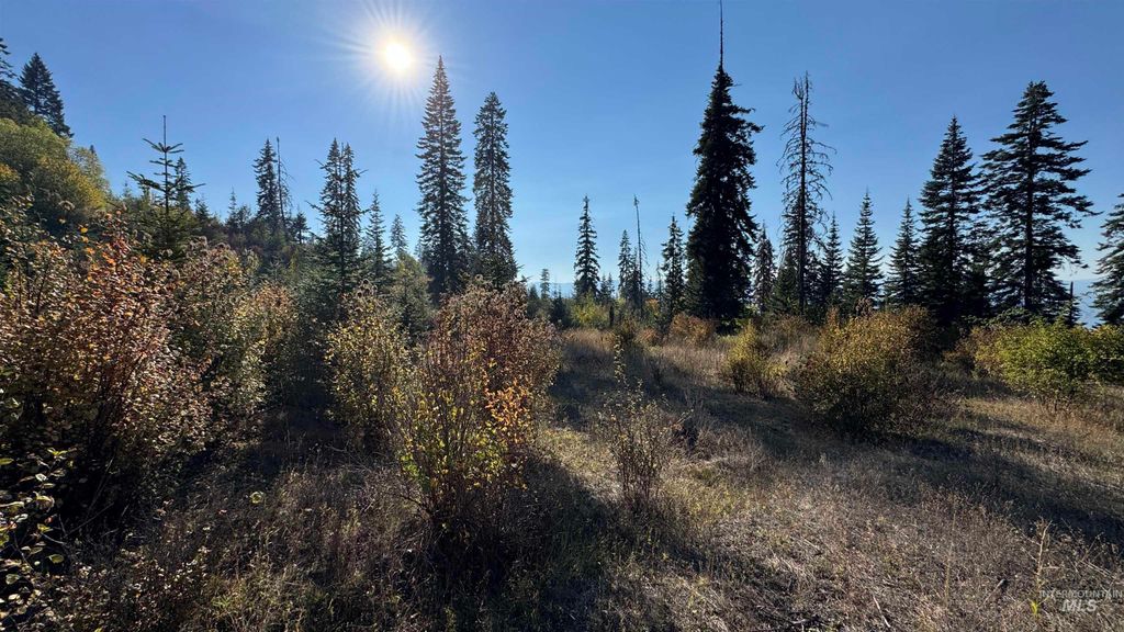 Photo of TBD White Pine Dr, Orofino, ID 83544 (MLS # 98964108)