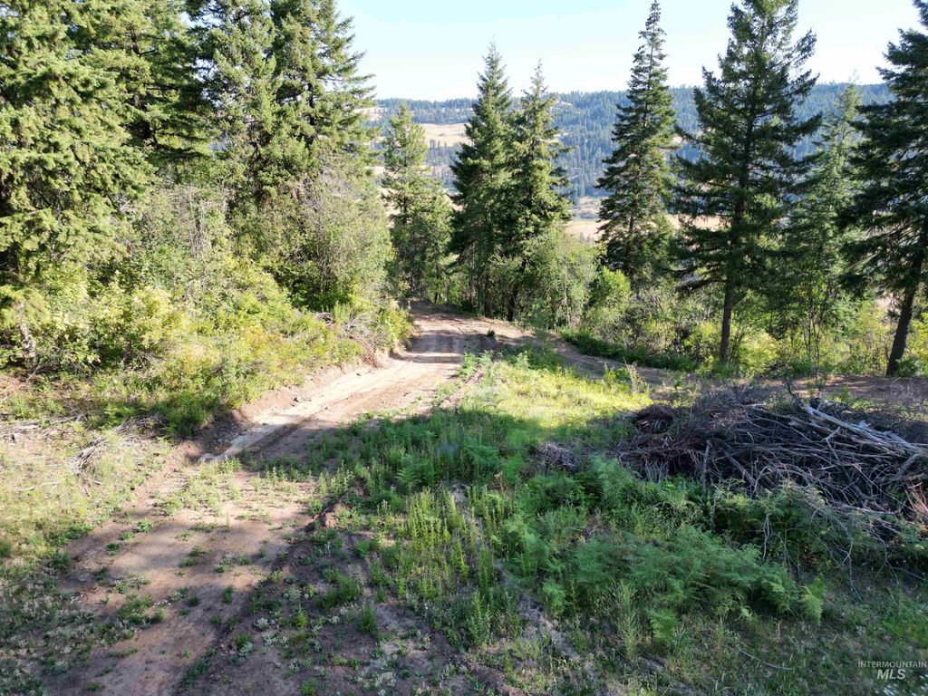 Photo of 714 Mountain Top Drive, Orofino, ID 83544 (MLS # 98957001)