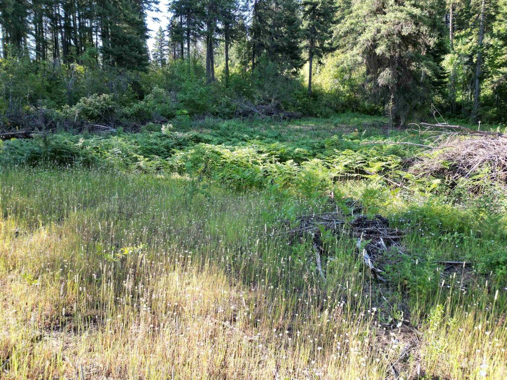 Photo of 714 Mountain Top Drive, Orofino, ID 83544 (MLS # 98957001)