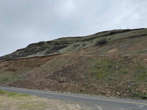 0 White Bird White Bird ID 83554