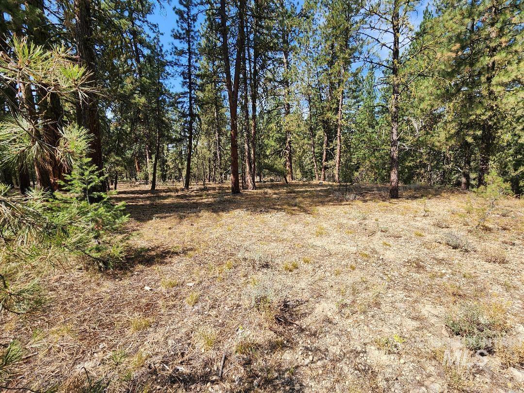 TBD N Diamond Bar Place