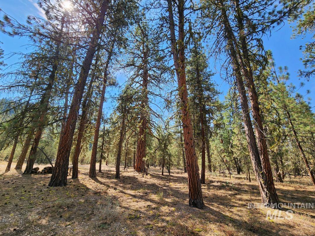 TBD N Diamond Bar Place