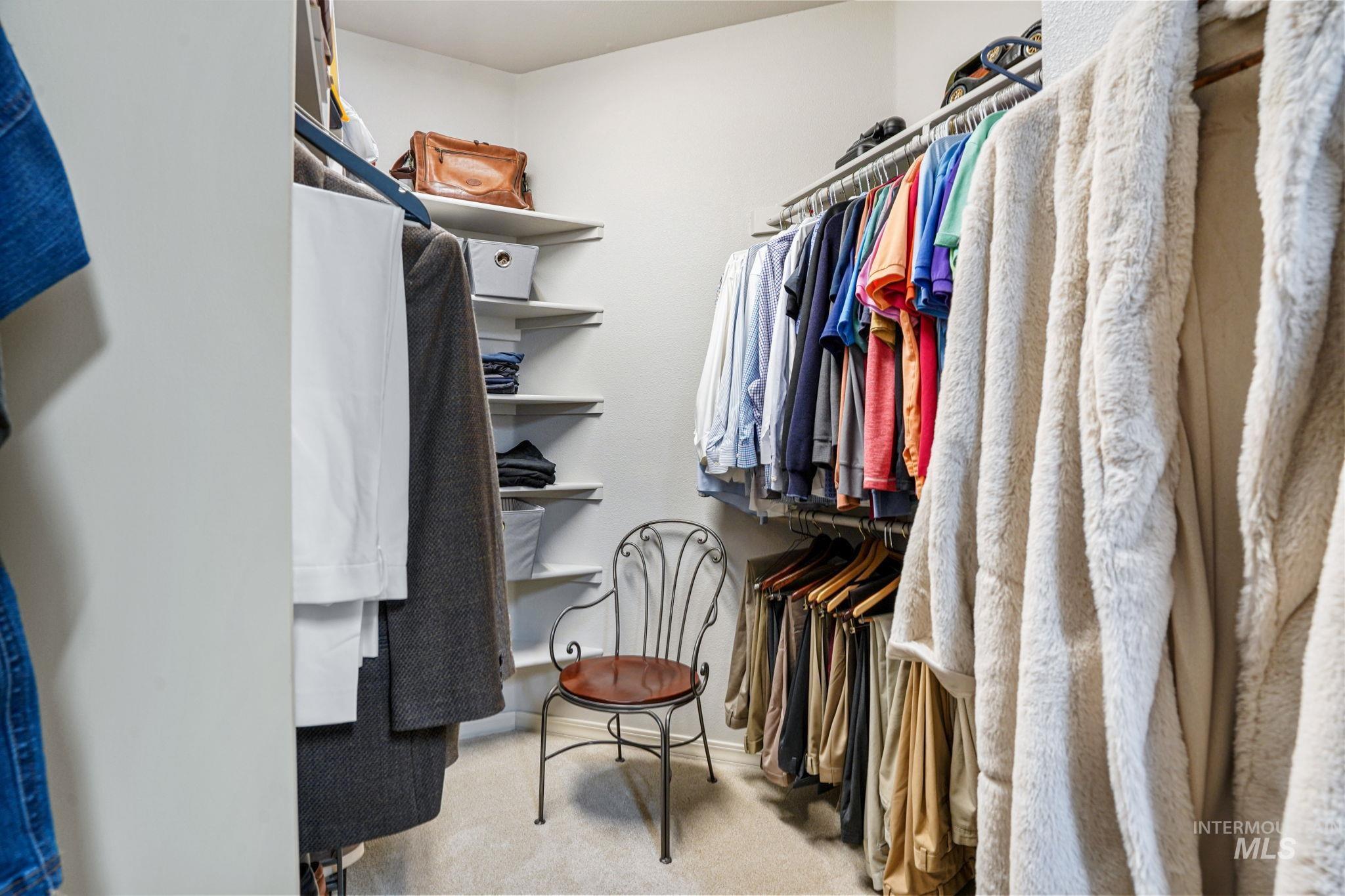 Spacious closet featuring light carpet