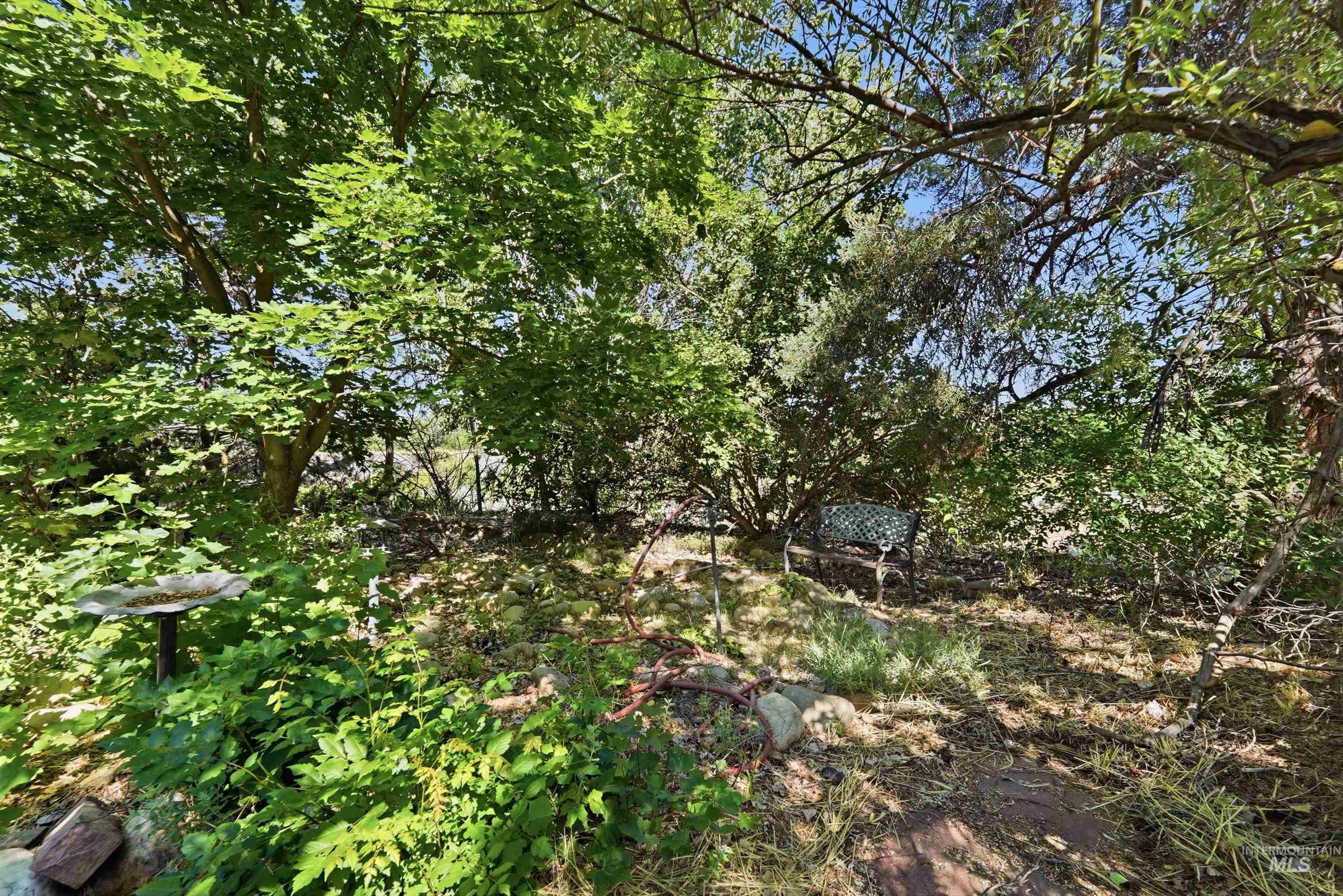 Lush natural landscaping featuring mature trees and established greenery