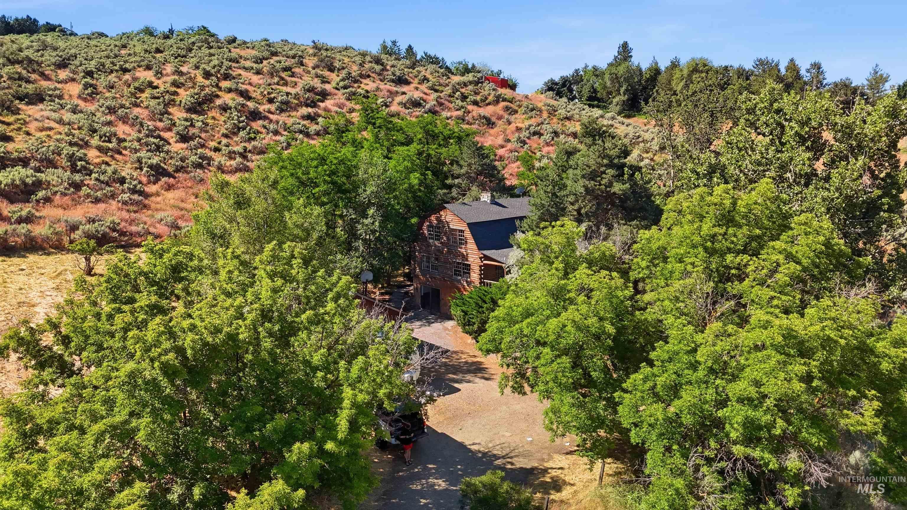 Expansive property featuring a rustic-style residence nestled among abundant mature trees, with a natural hillside backdrop