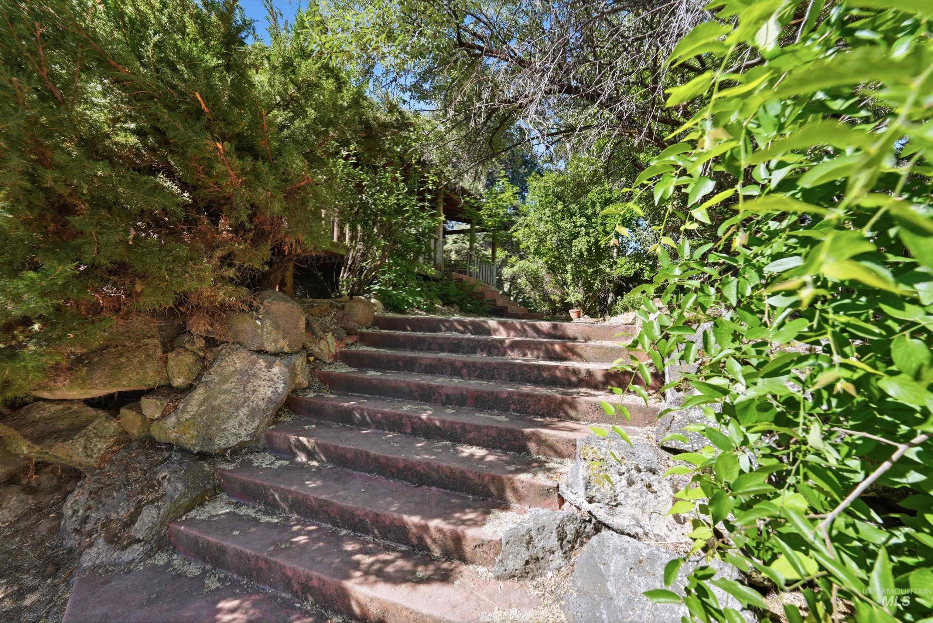 Stone staircase featuring a rock retaining wall and abundant surrounding foliage