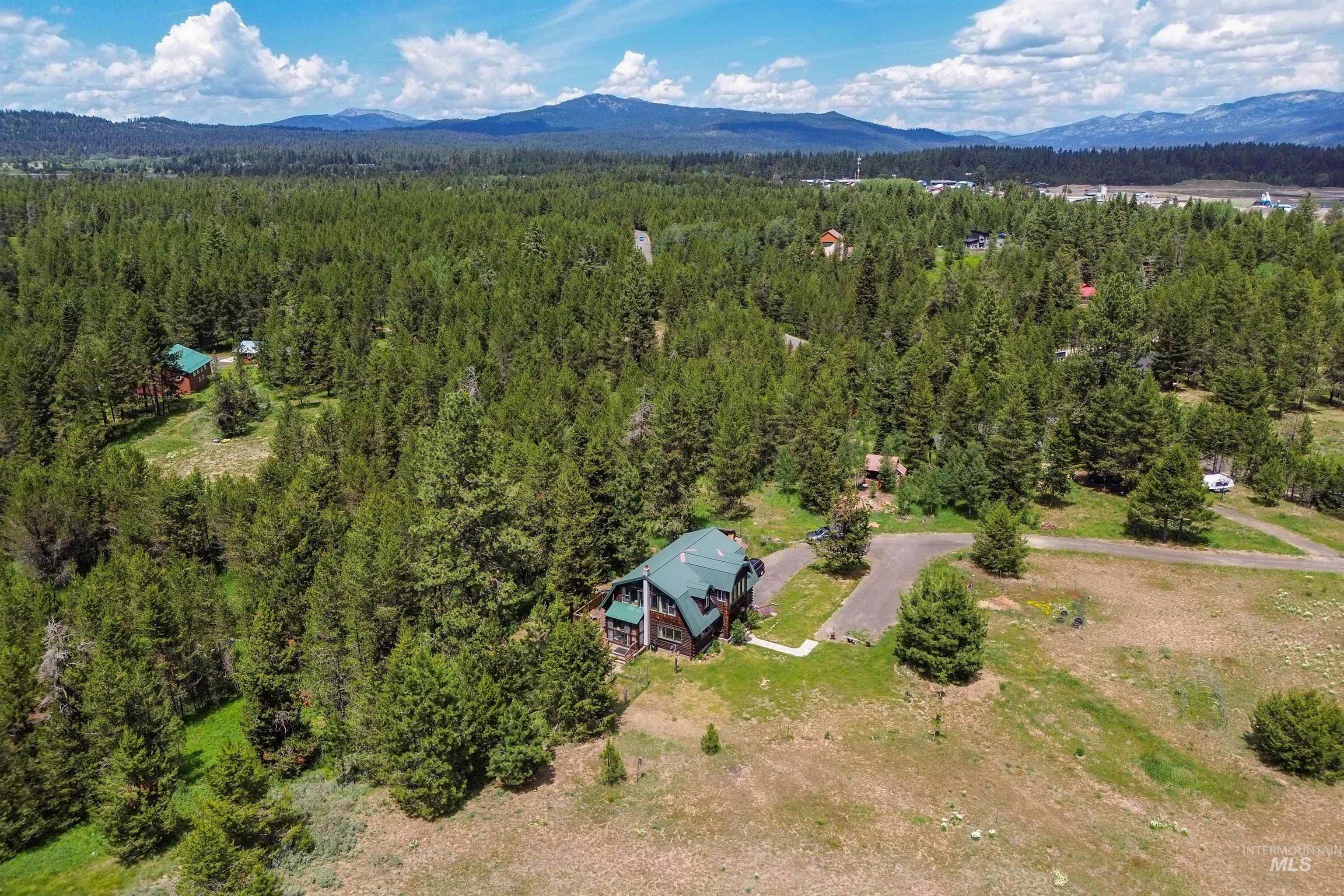 Aerial view of a forest and a mountainous background