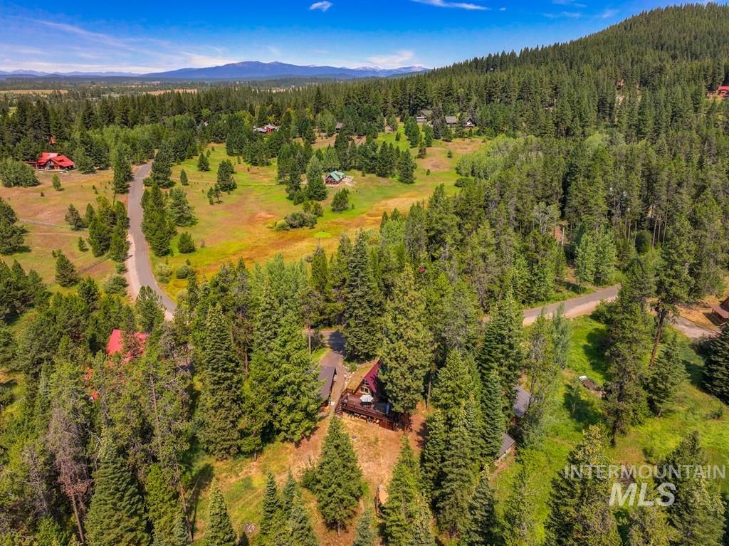 Bird's eye view of a forest and a mountain backdrop