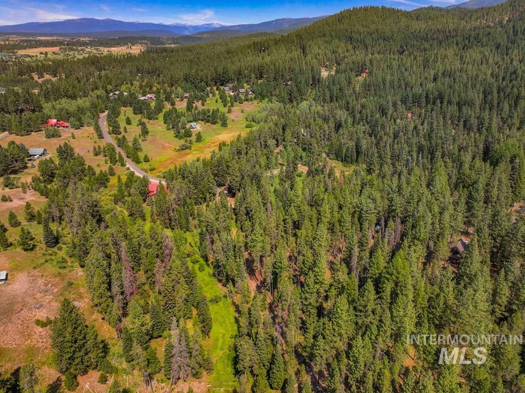 Aerial view of a forest and a mountainous background