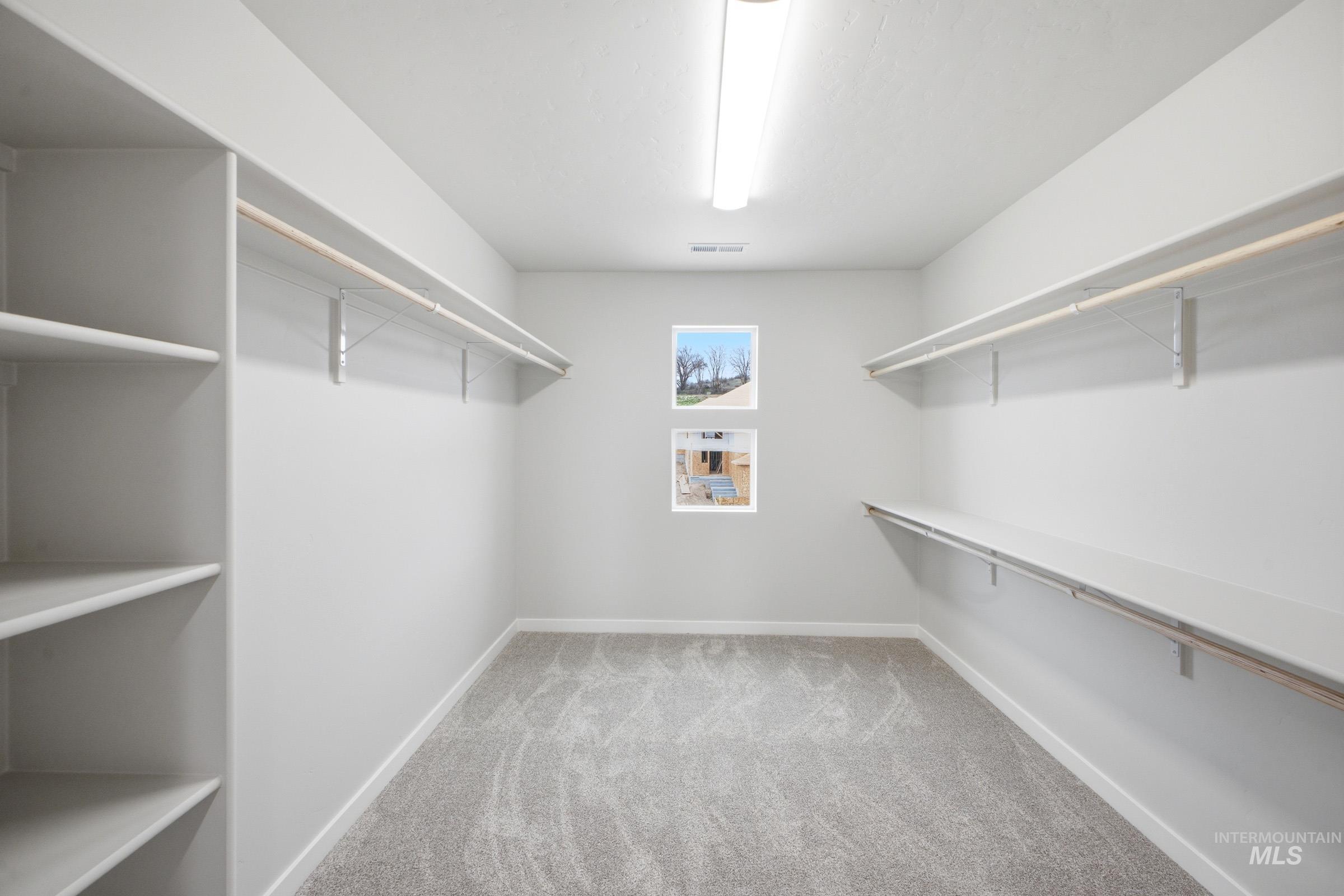 Spacious walk-in closet featuring light gray carpeting, crisp white walls, built-in shelving, two clothing rods, and natural light from two windows