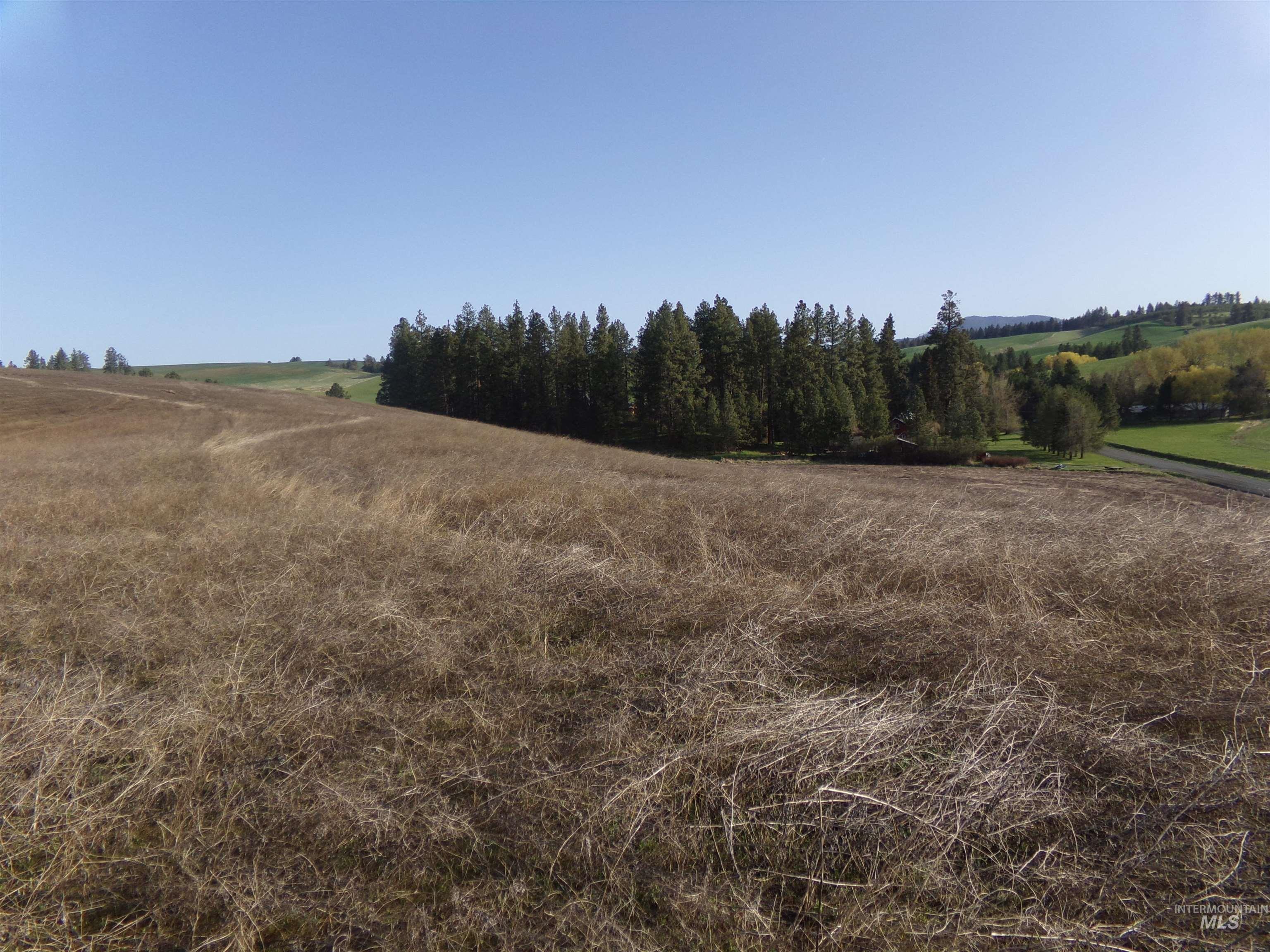 10 ACRES Teare Road, Moscow, Idaho image 12