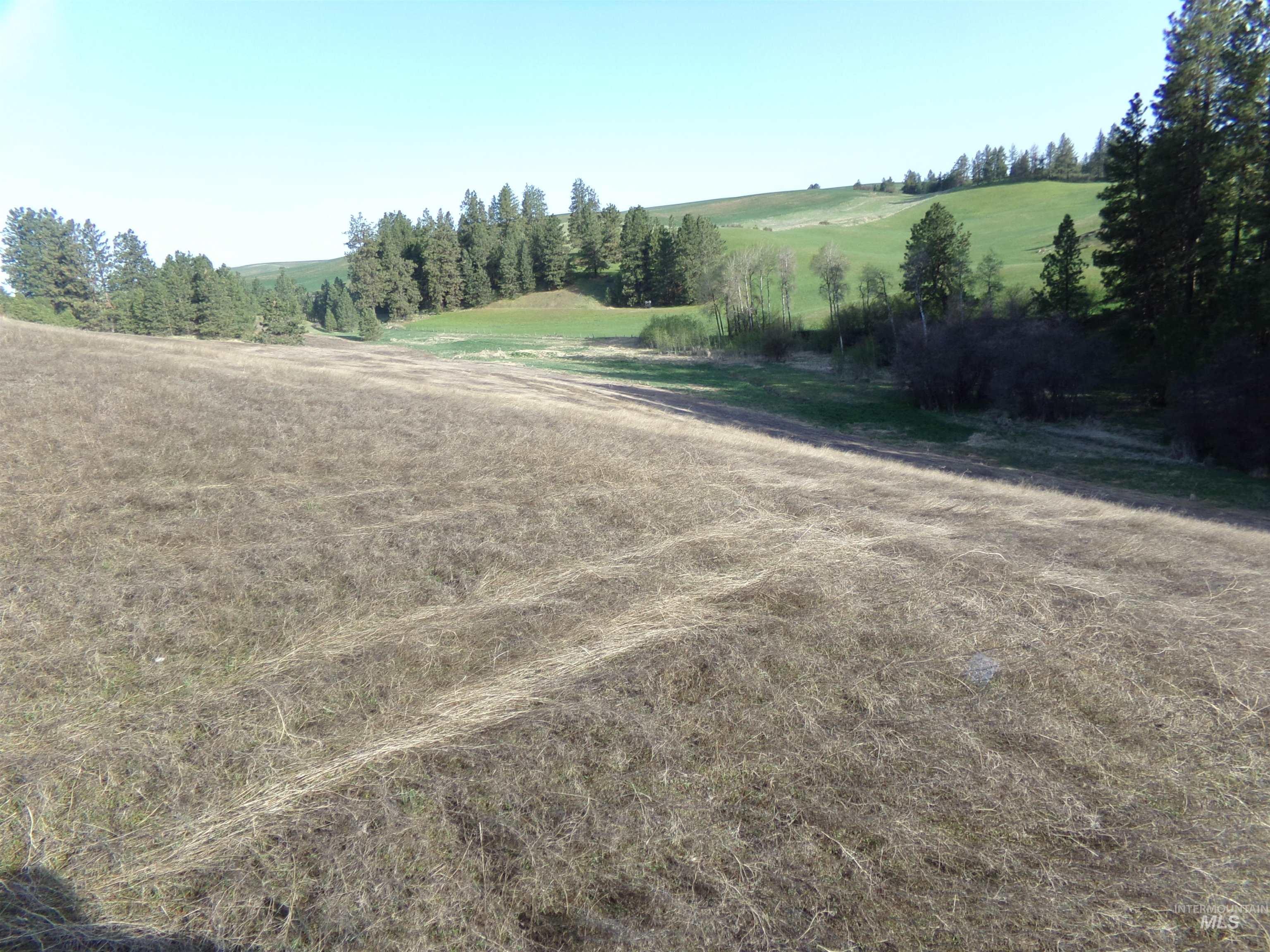 10 ACRES Teare Road, Moscow, Idaho image 9