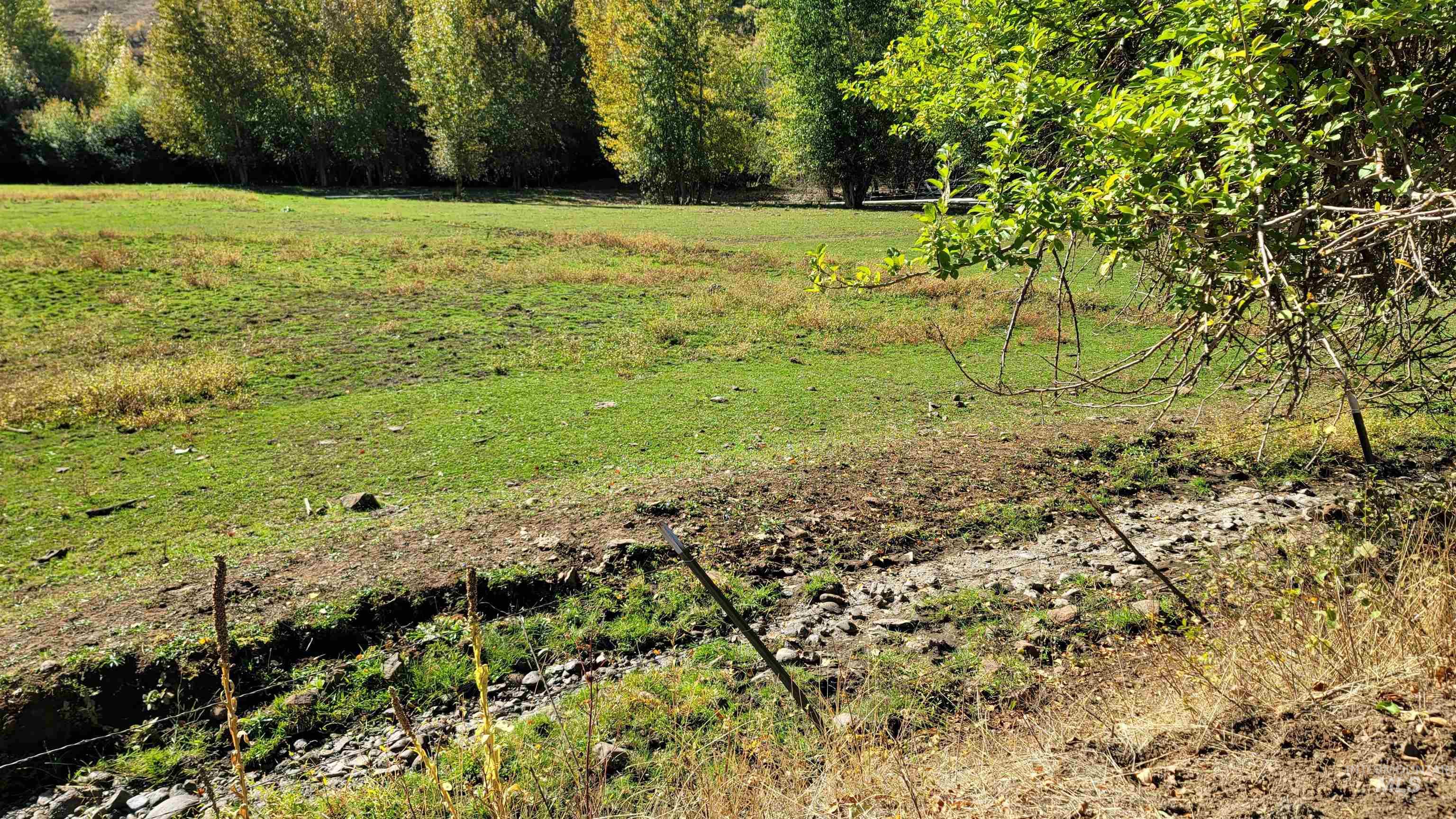 TBD Goodrich Creek Rd.