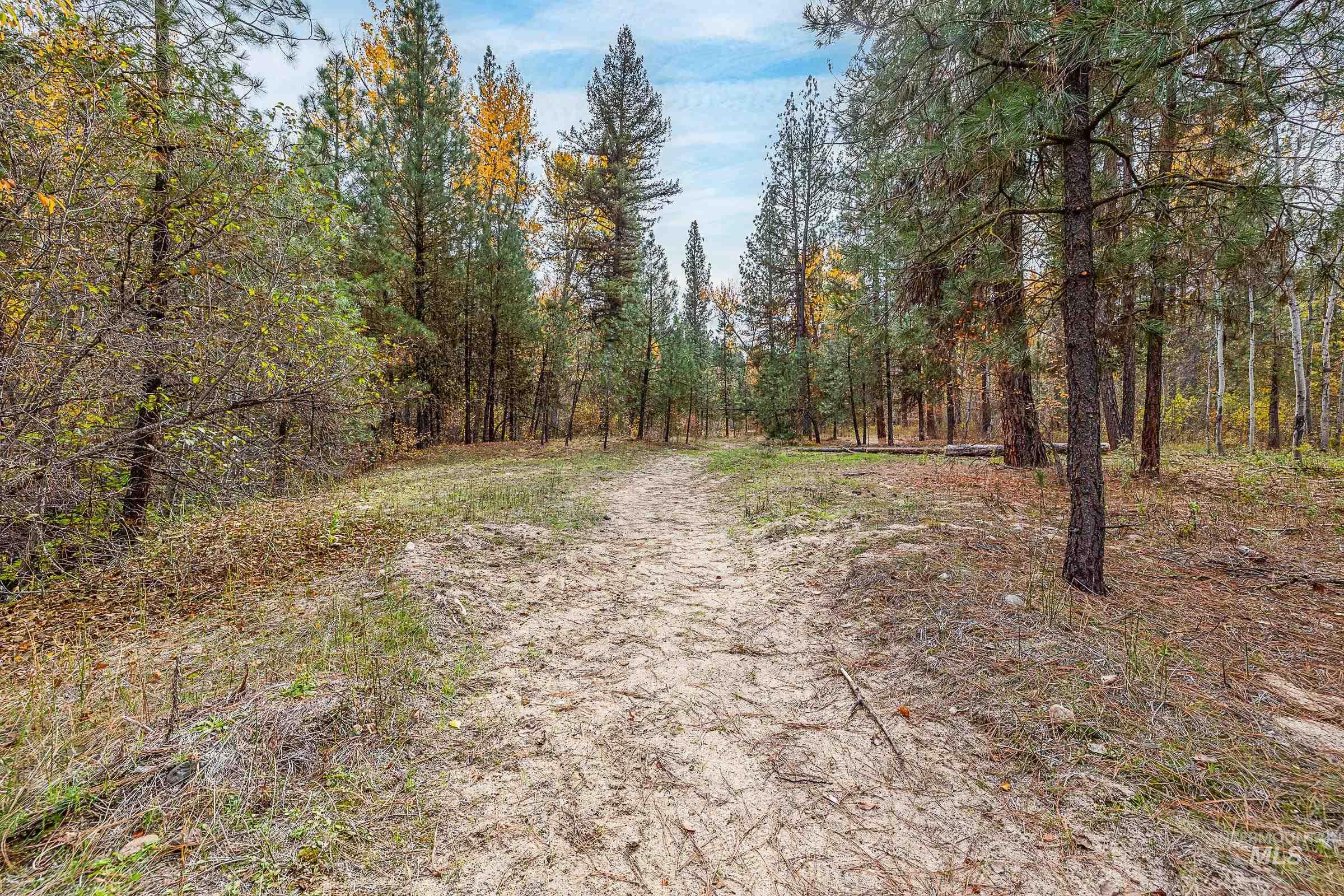 View of road featuring a wooded view