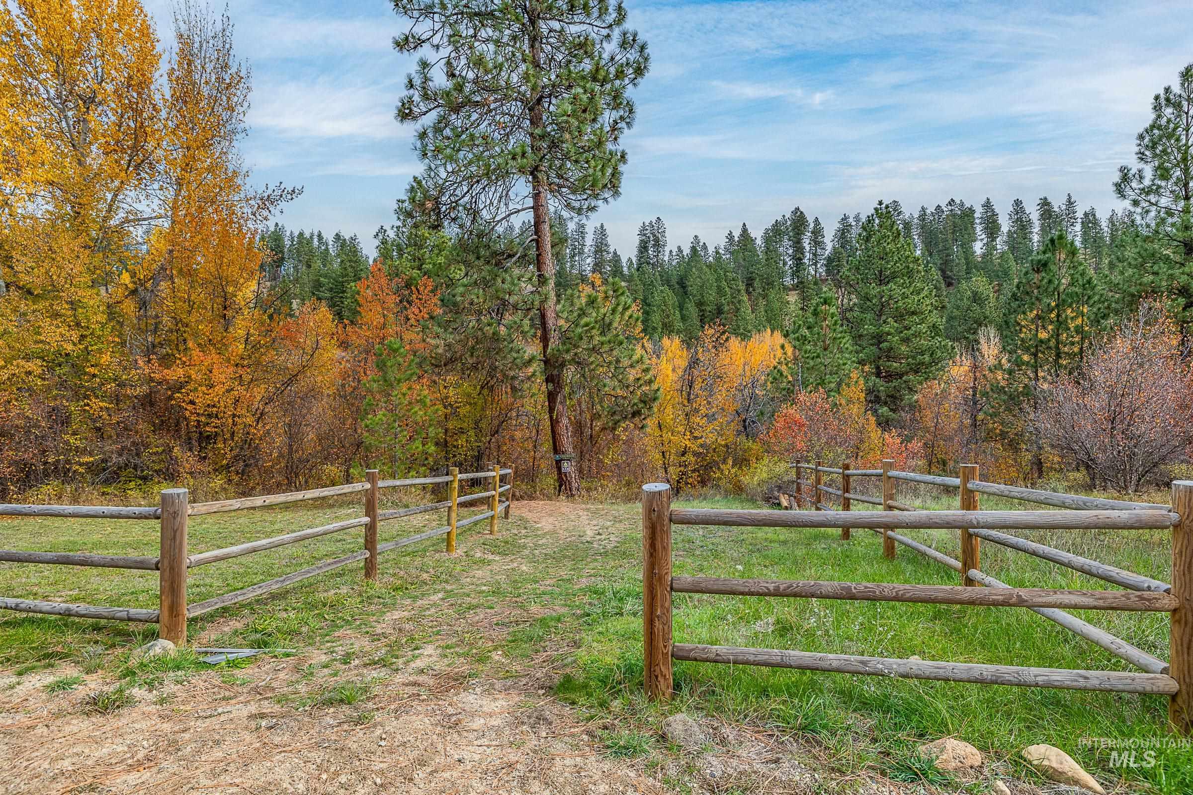 View of yard with a view of trees