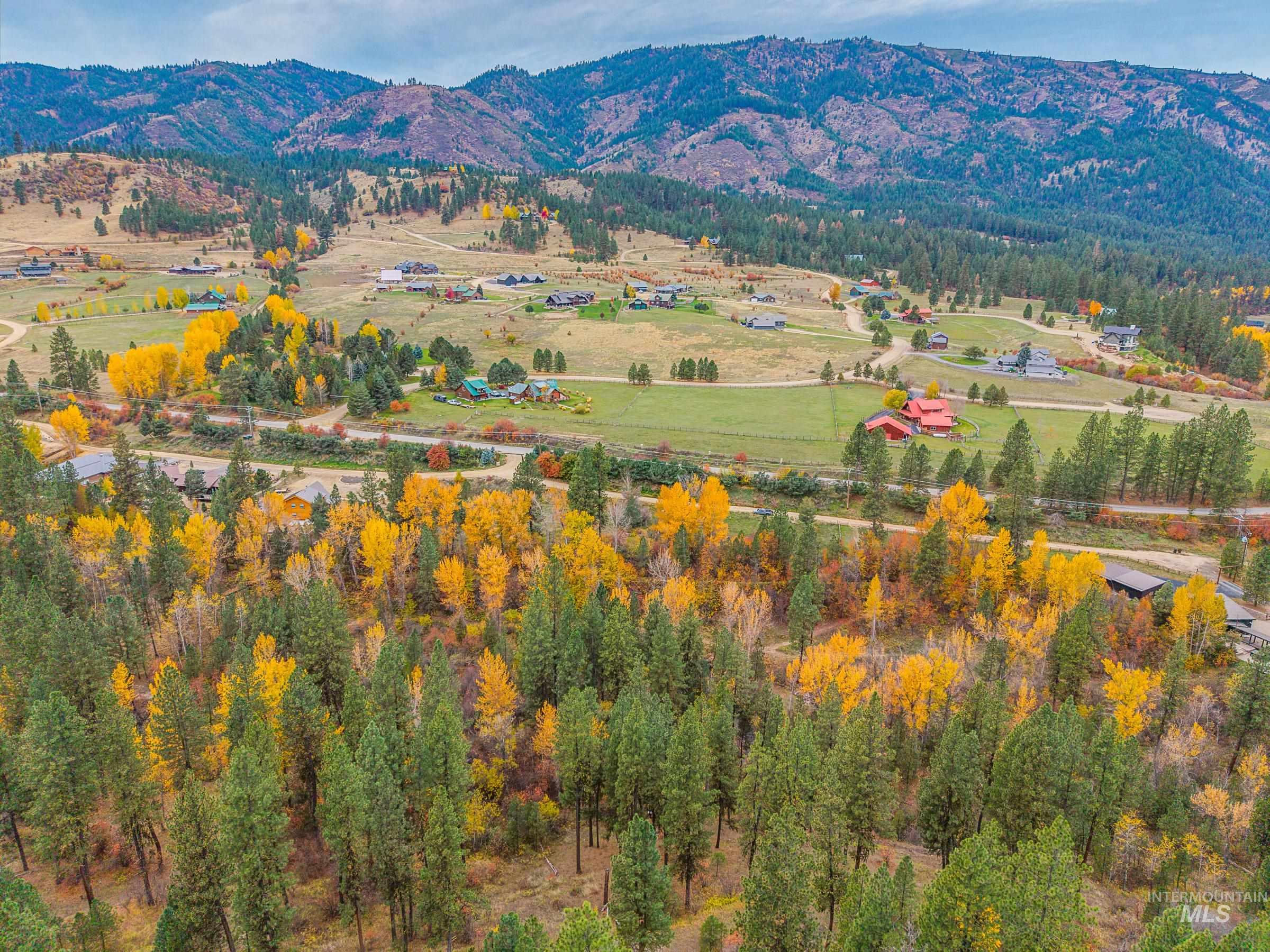 View of mountain background featuring a heavily wooded area