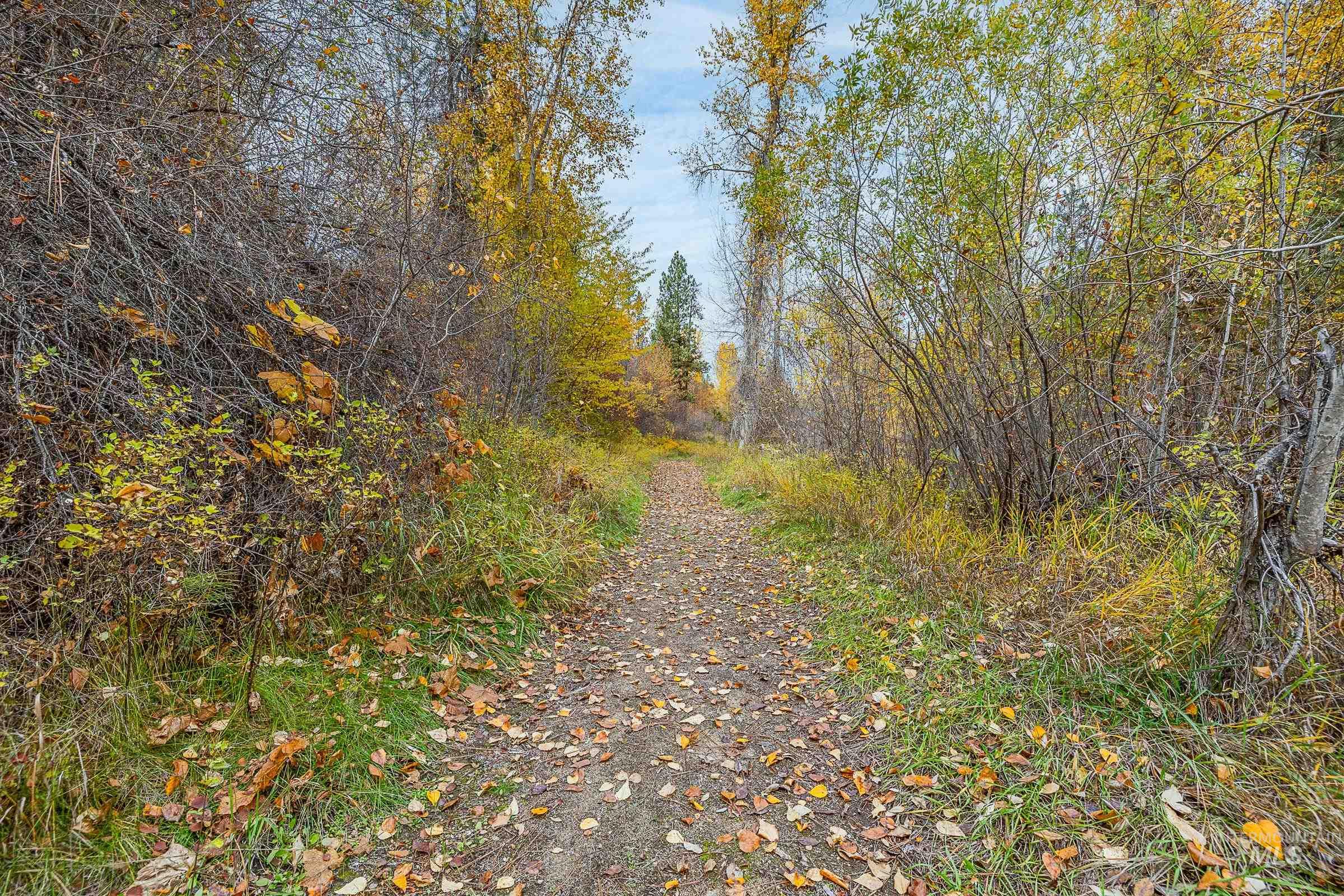 View of road featuring a wooded view