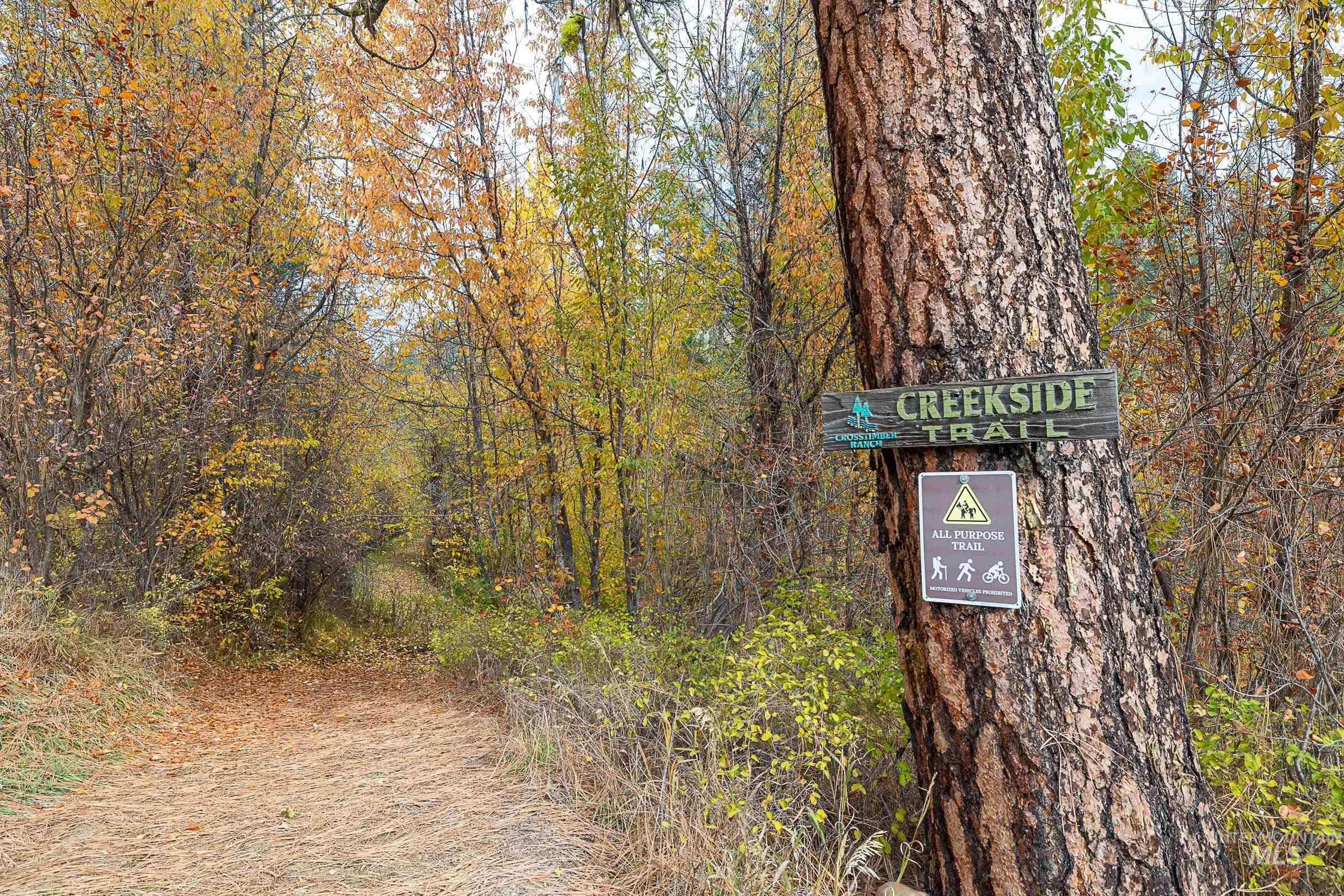 Surrounding community