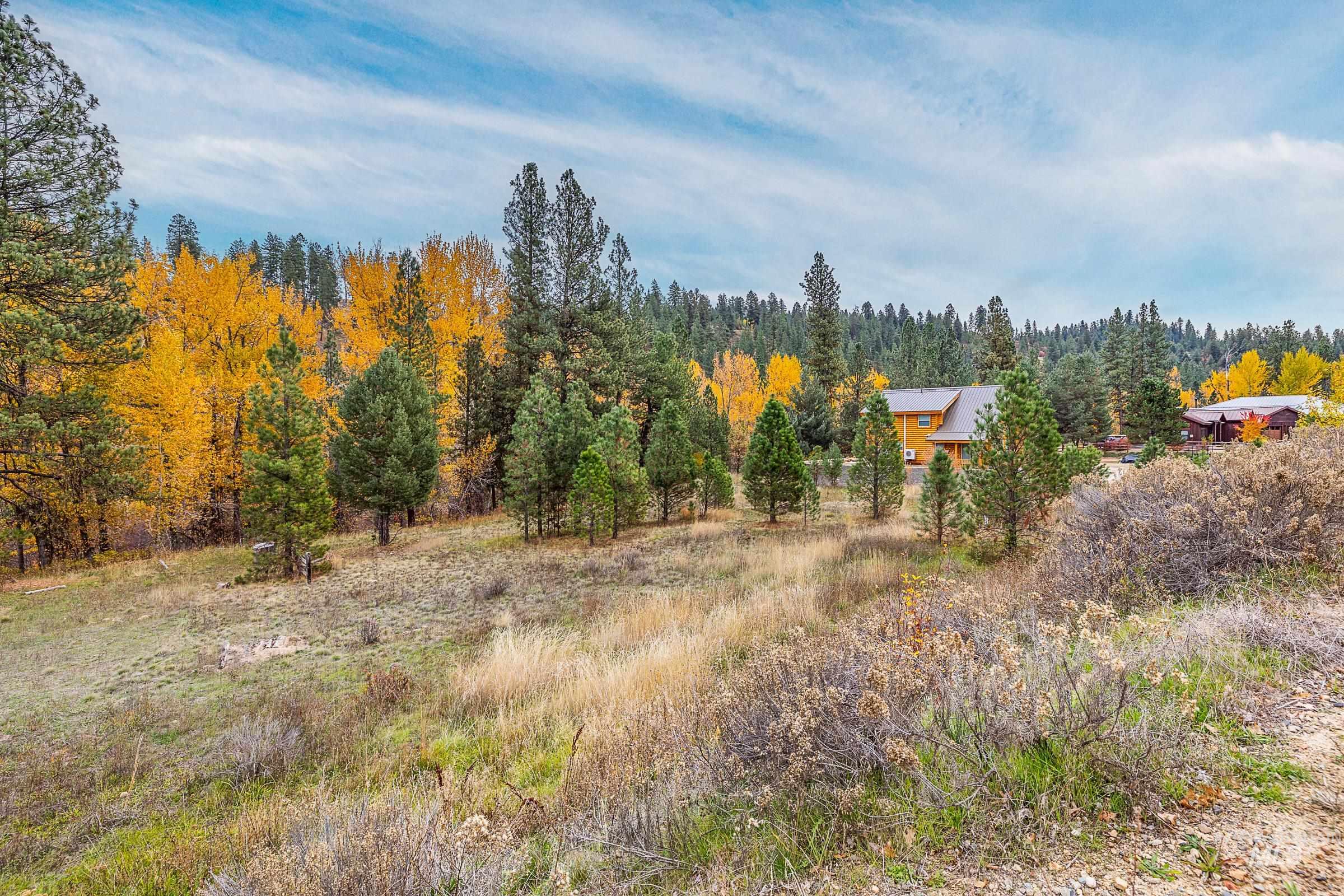 View of wooded area featuring a view of rural / pastoral area