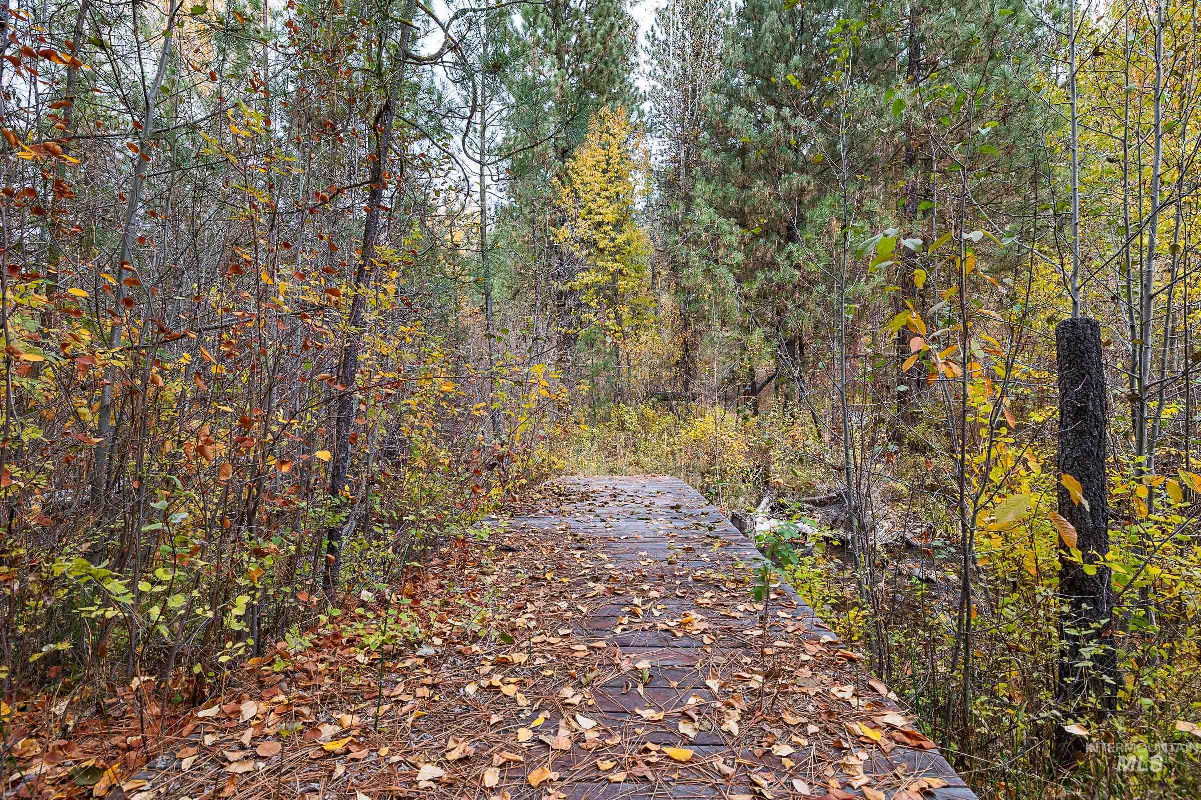 View of road featuring a forest view