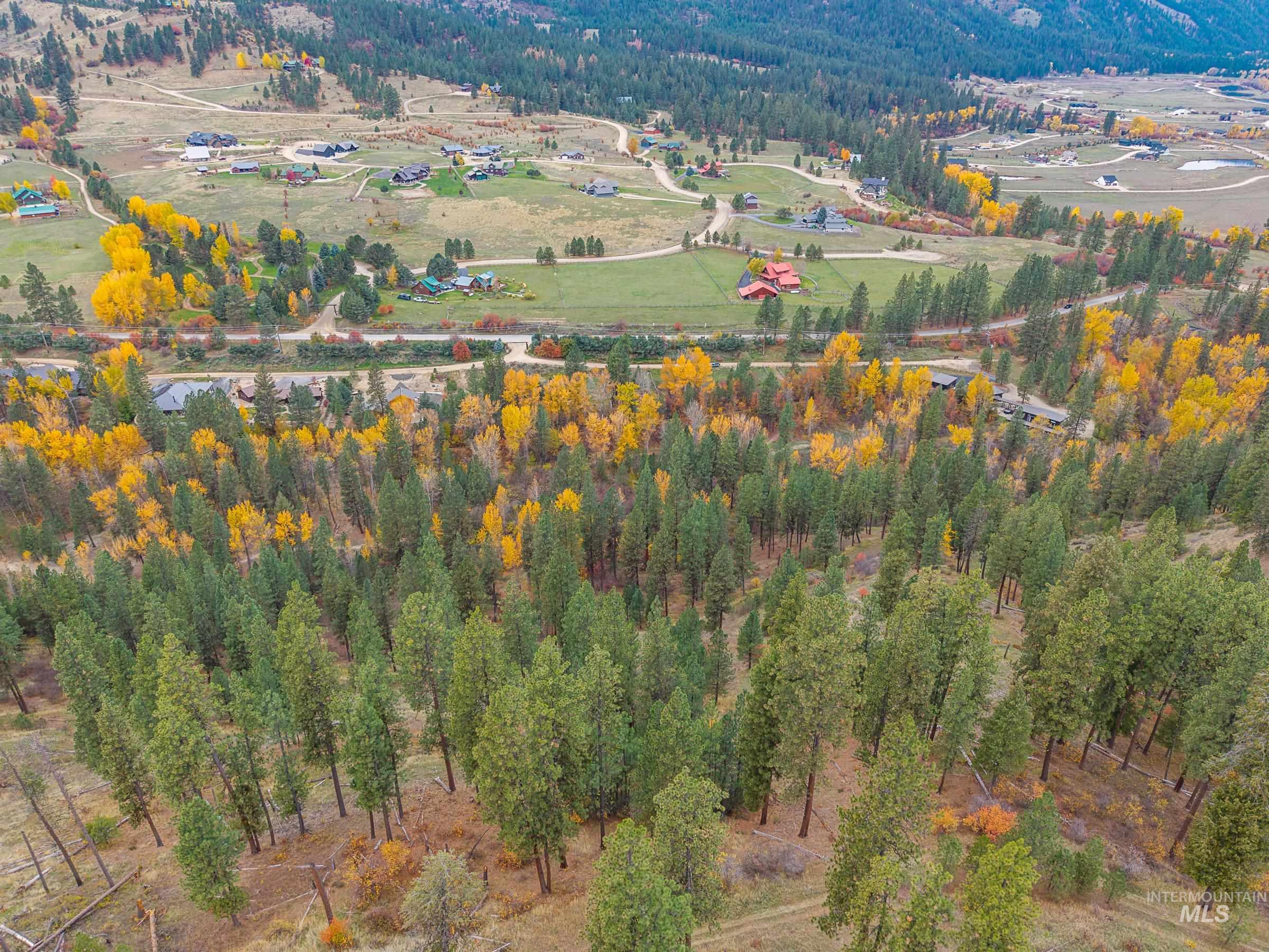 Aerial view of property and surrounding area with a forest