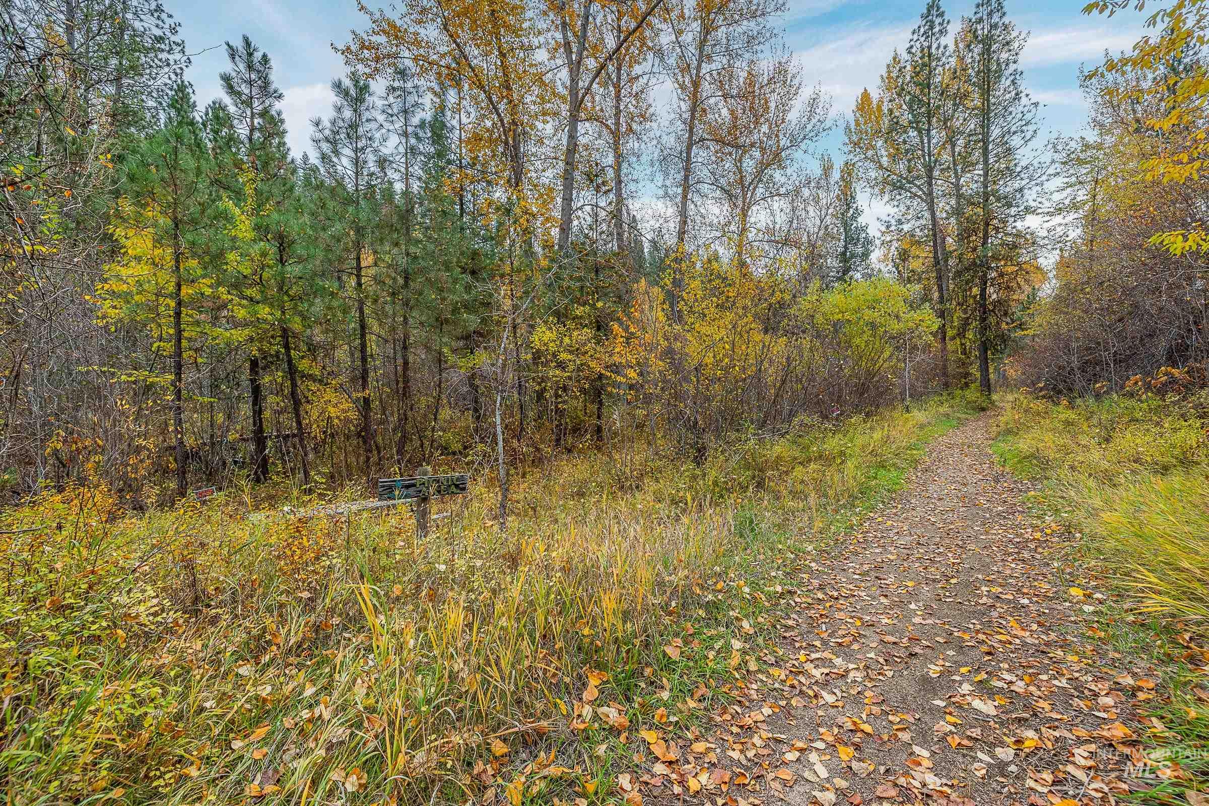 View of street with a forest view