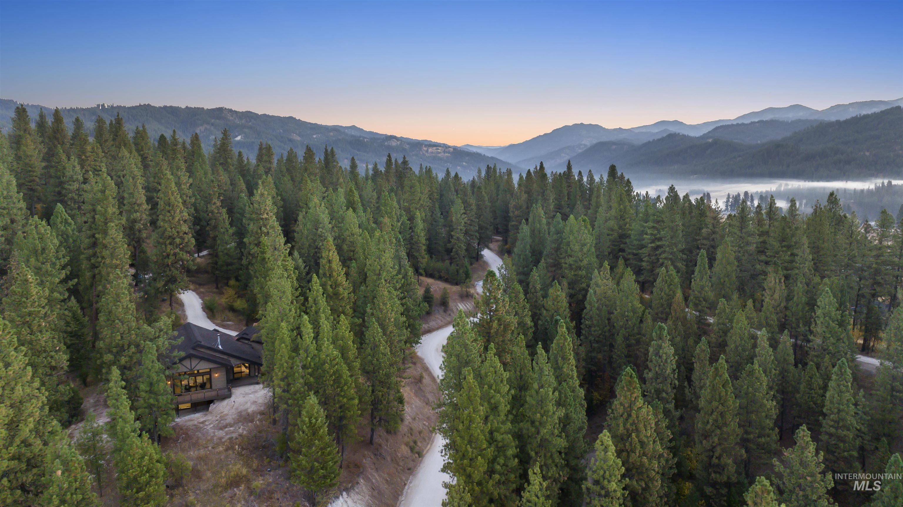 View of mountain backdrop featuring a forest